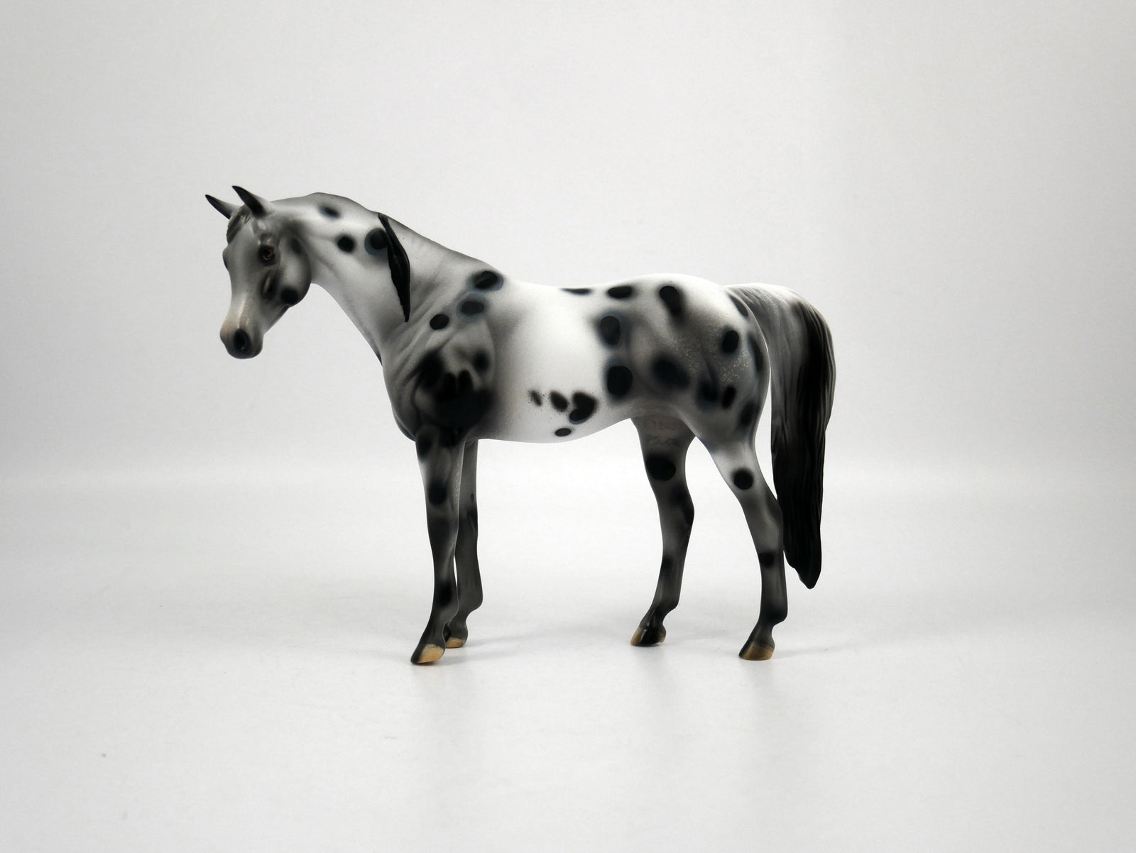 Genesis-OOAK Appaloosa Pebbles Arabian Mare 1/8/21