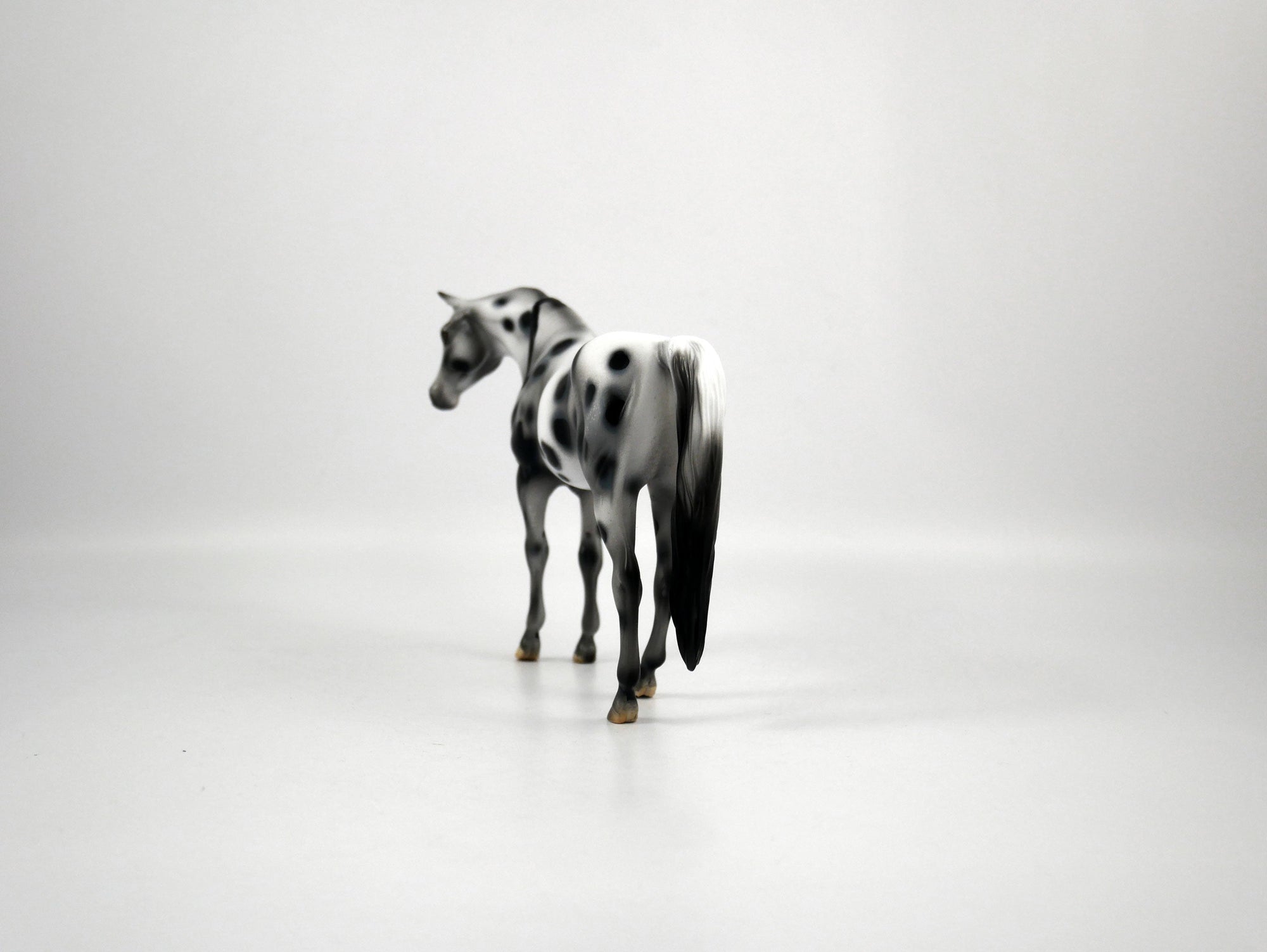 Genesis-OOAK Appaloosa Pebbles Arabian Mare 1/8/21