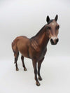 Gimp - OOAK - Appaloosa Ideal Stock Horse By Julie Keim - SHCF23