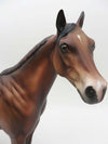 Gimp - OOAK - Appaloosa Ideal Stock Horse By Julie Keim - SHCF23