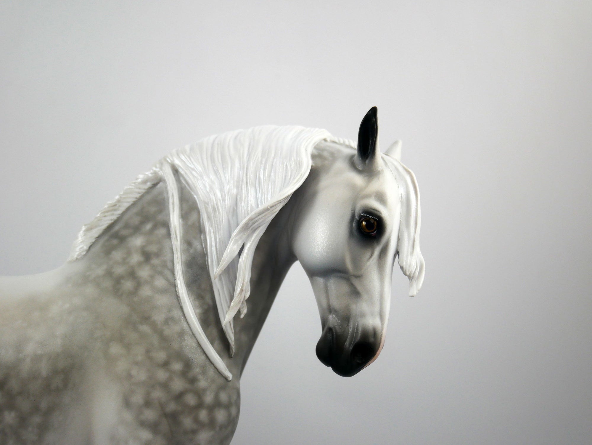 Gino Felino-OOAK Dapple Grey Andalusian Painted By Sheryl Leisure 1/15/21