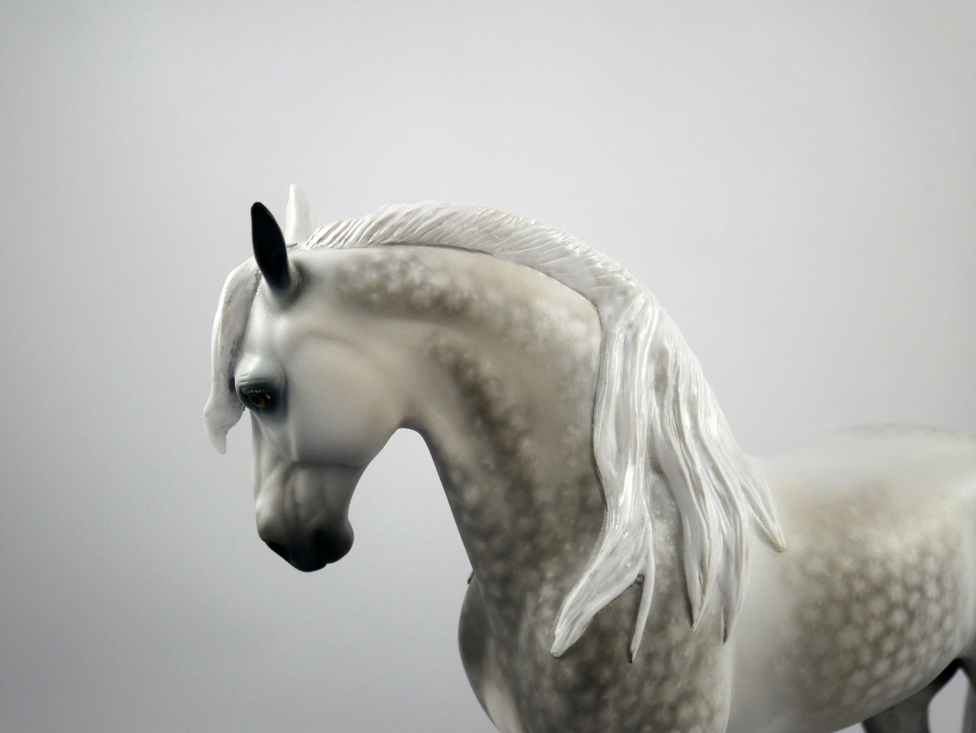 Gino Felino-OOAK Dapple Grey Andalusian Painted By Sheryl Leisure 1/15/21