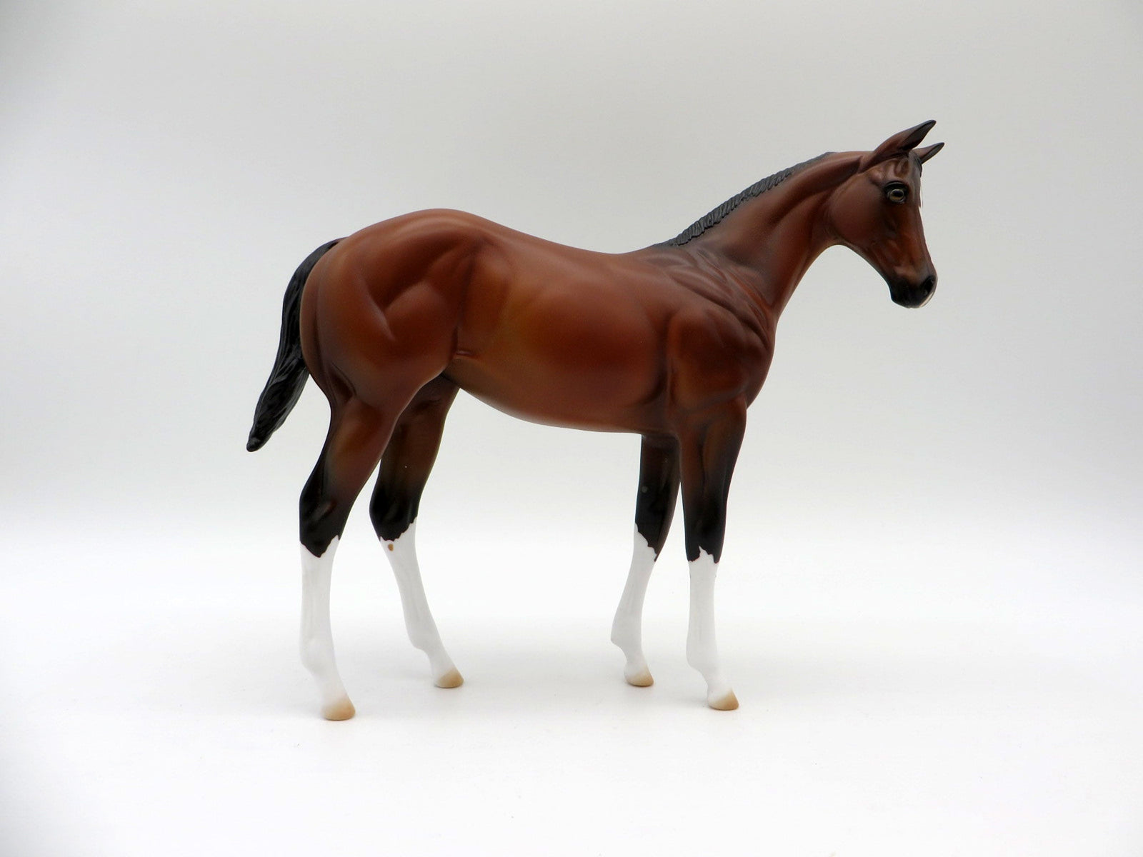 Giratina-OOAK Bay  Weanling Painted By Ellen Robbins 5/14/21