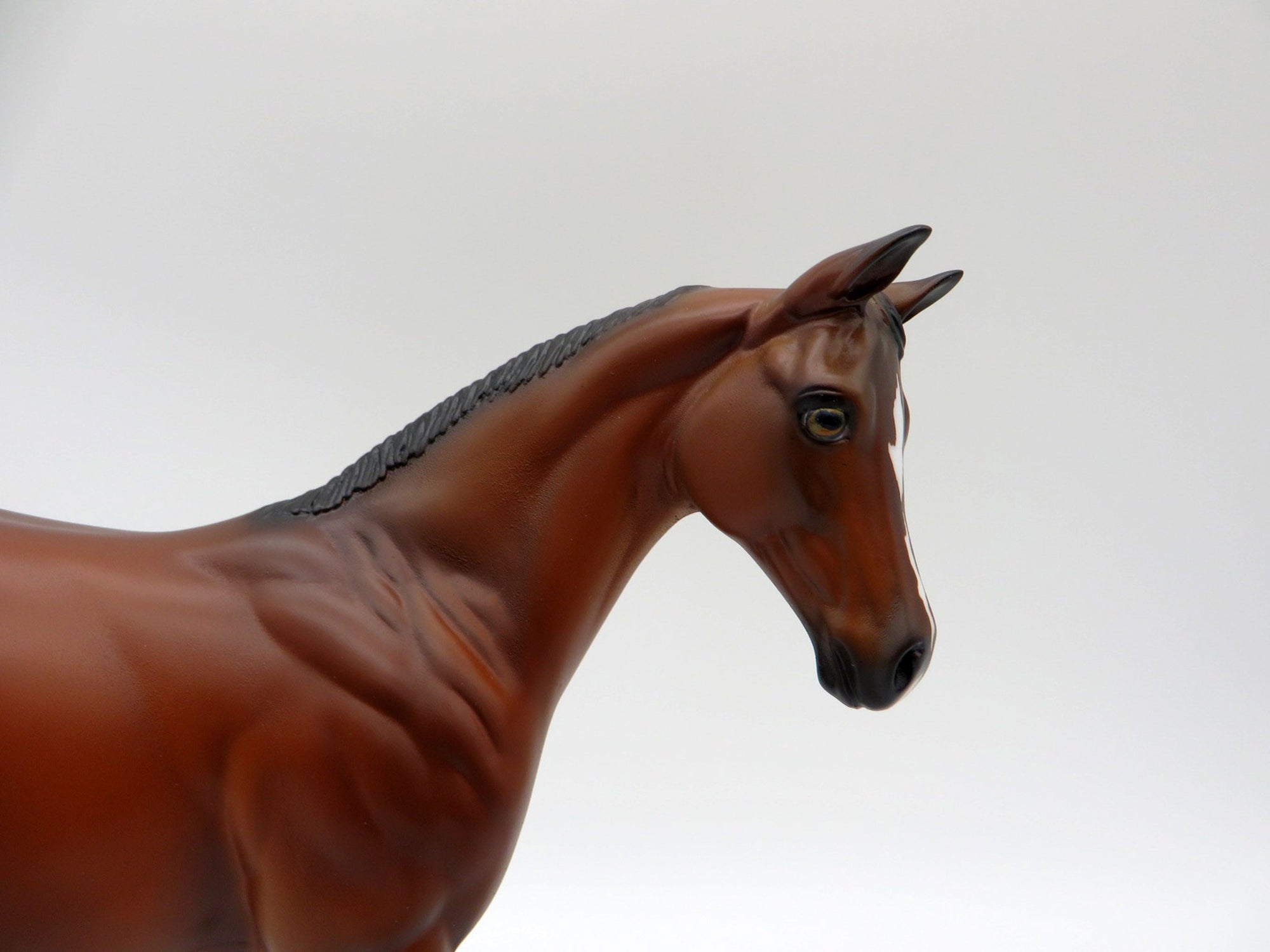 Giratina-OOAK Bay  Weanling Painted By Ellen Robbins 5/14/21