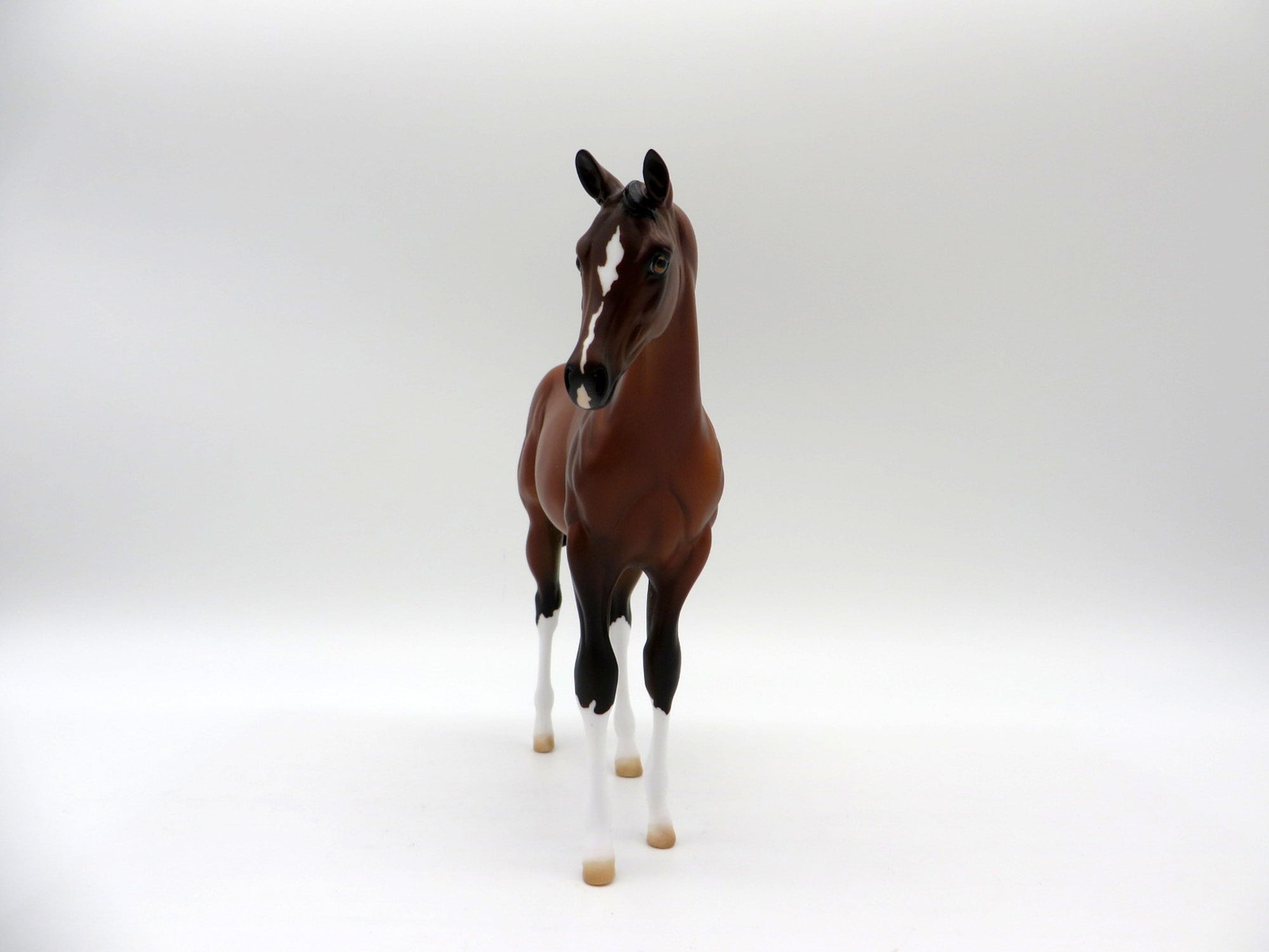 Giratina-OOAK Bay  Weanling Painted By Ellen Robbins 5/14/21