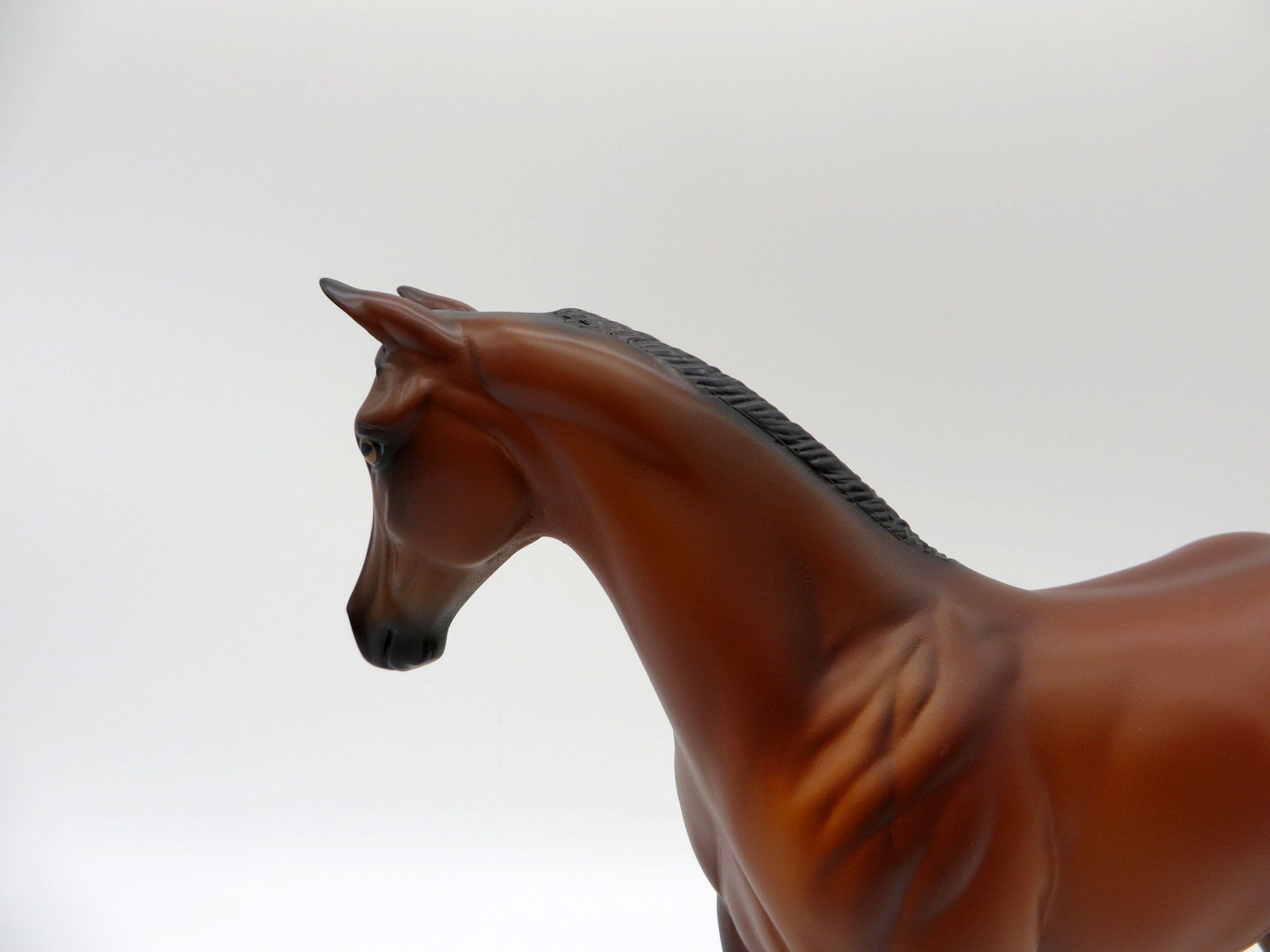 Giratina-OOAK Bay  Weanling Painted By Ellen Robbins 5/14/21