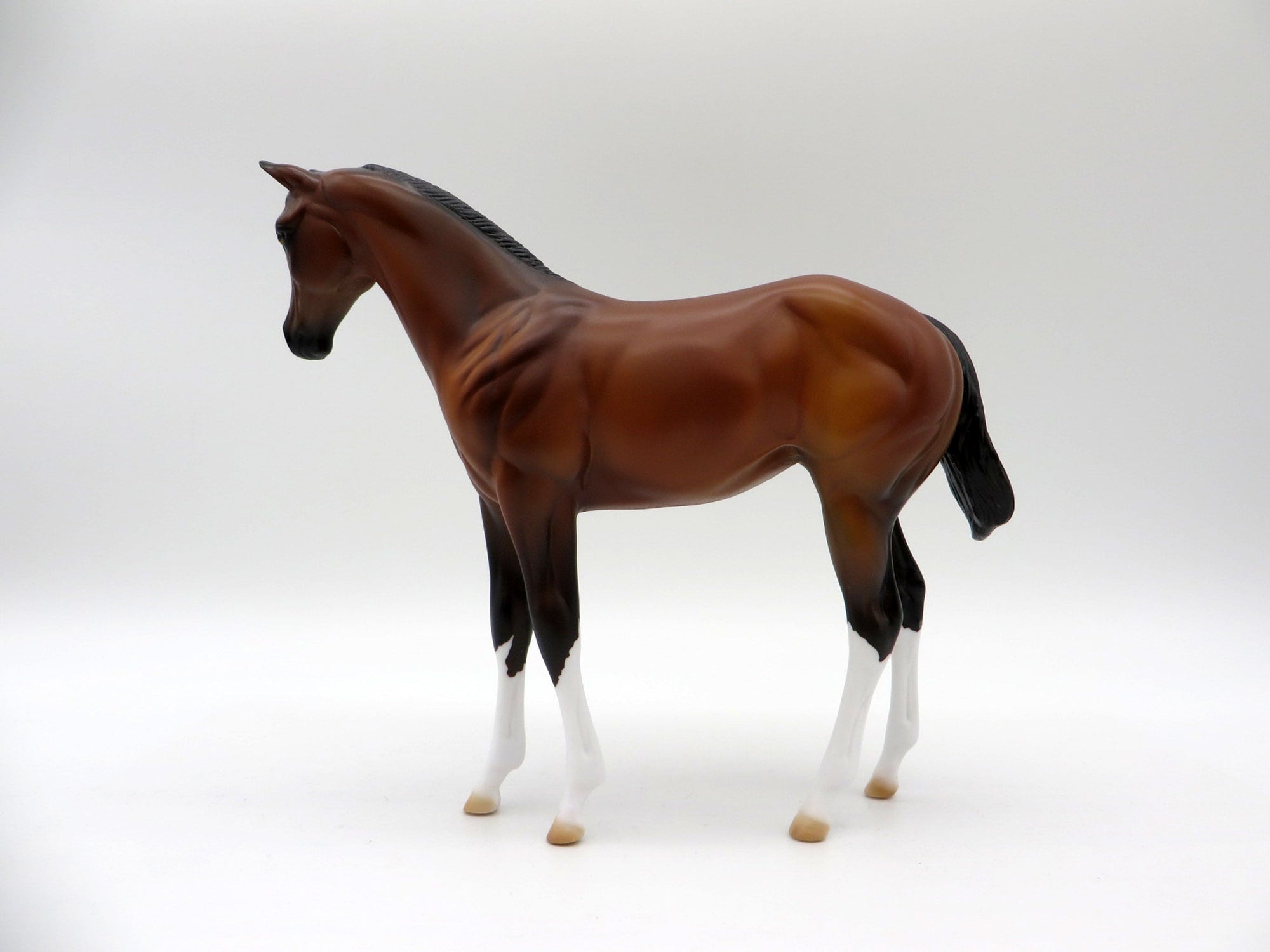 Giratina-OOAK Bay  Weanling Painted By Ellen Robbins 5/14/21