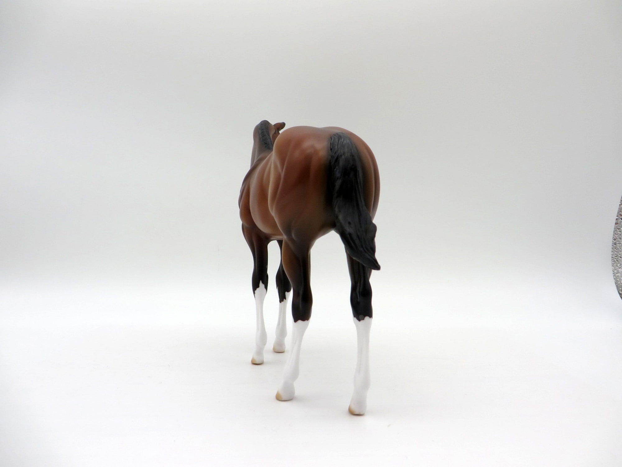 Giratina-OOAK Bay  Weanling Painted By Ellen Robbins 5/14/21