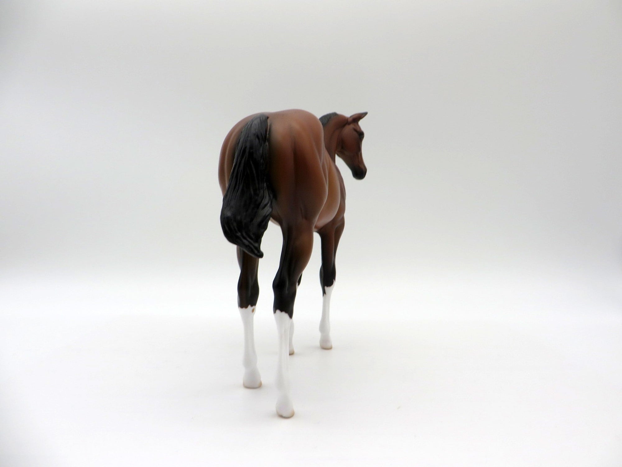 Giratina-OOAK Bay  Weanling Painted By Ellen Robbins 5/14/21