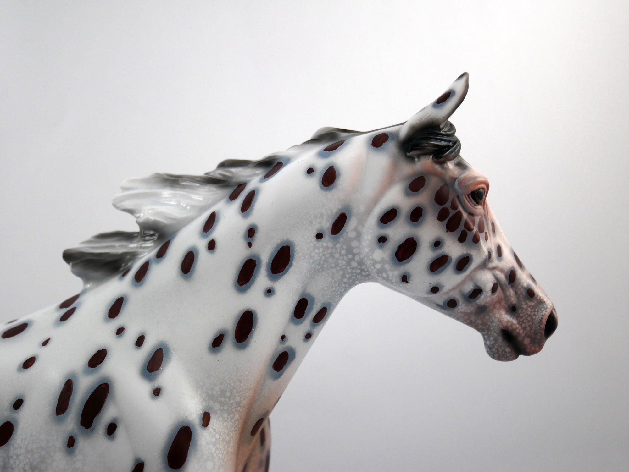 Girls Day Out-OOAK Loud Appaloosa Palouse SB21