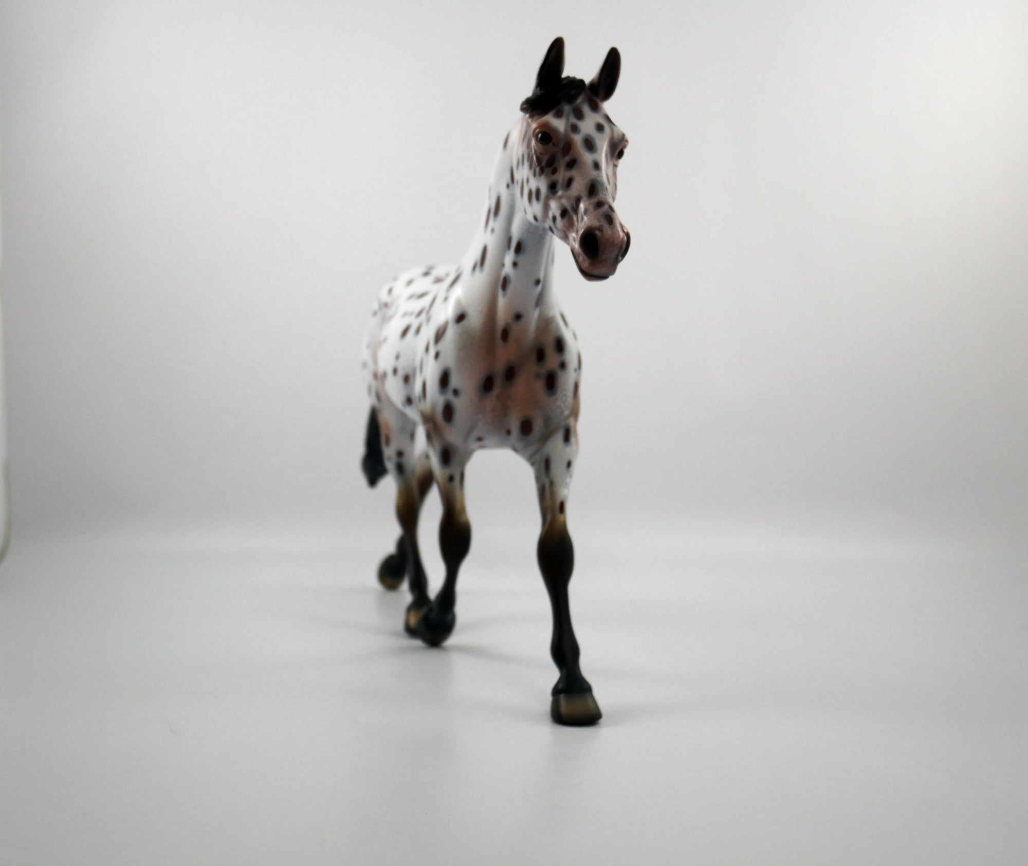 Girls Day Out-OOAK Loud Appaloosa Palouse SB21