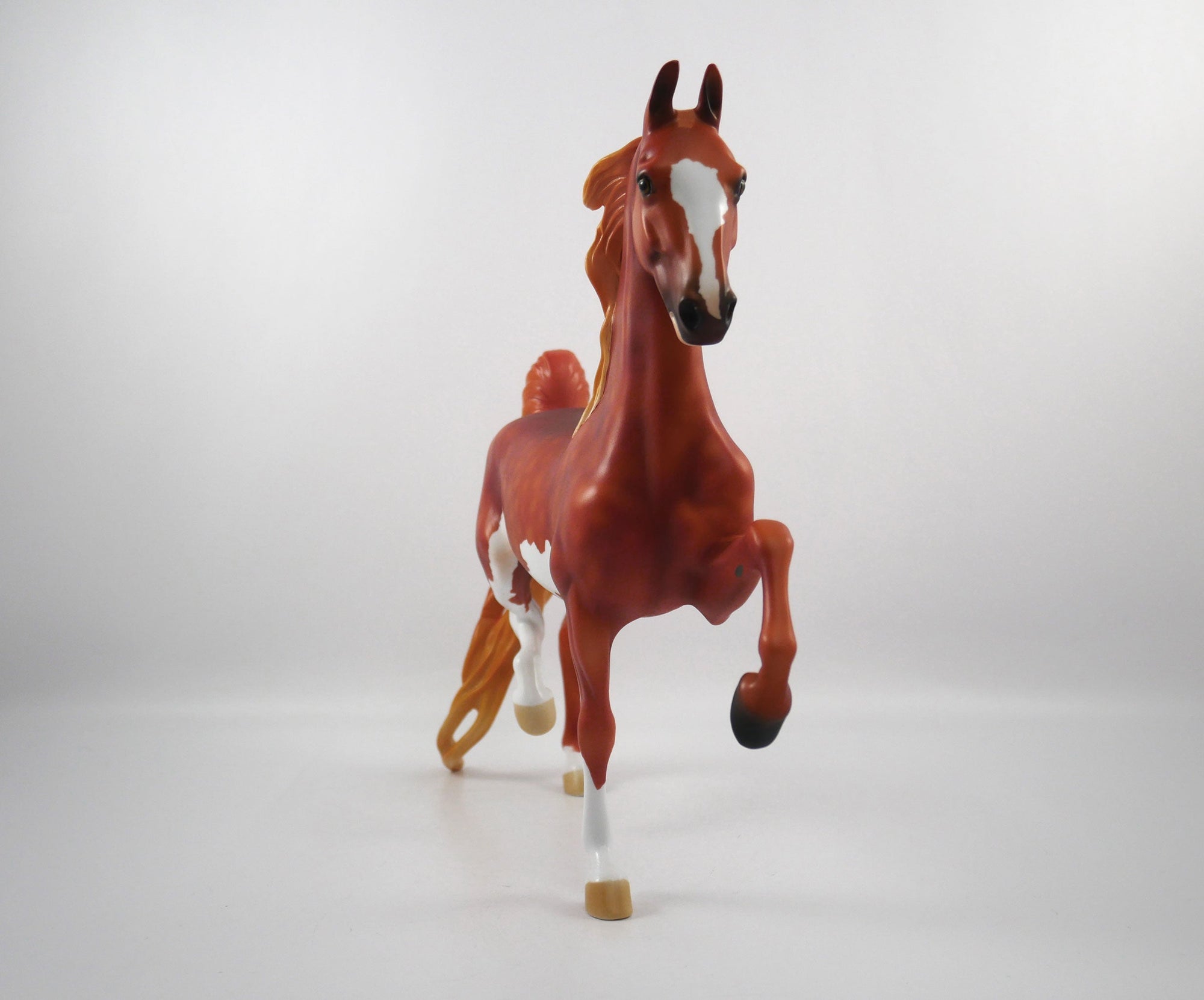 GOAL-OOAK Chestnut Paint Saddlebred  SB21