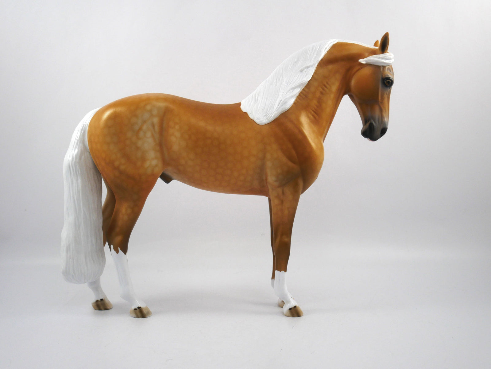 Golden Hour Dapple Palomino Andalusian  SB 21