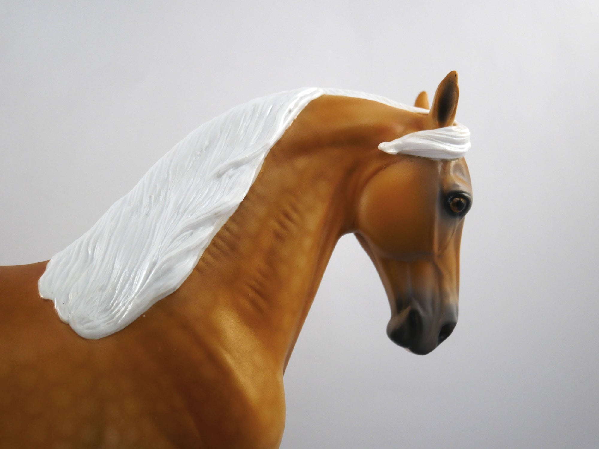 Golden Hour Dapple Palomino Andalusian  SB 21