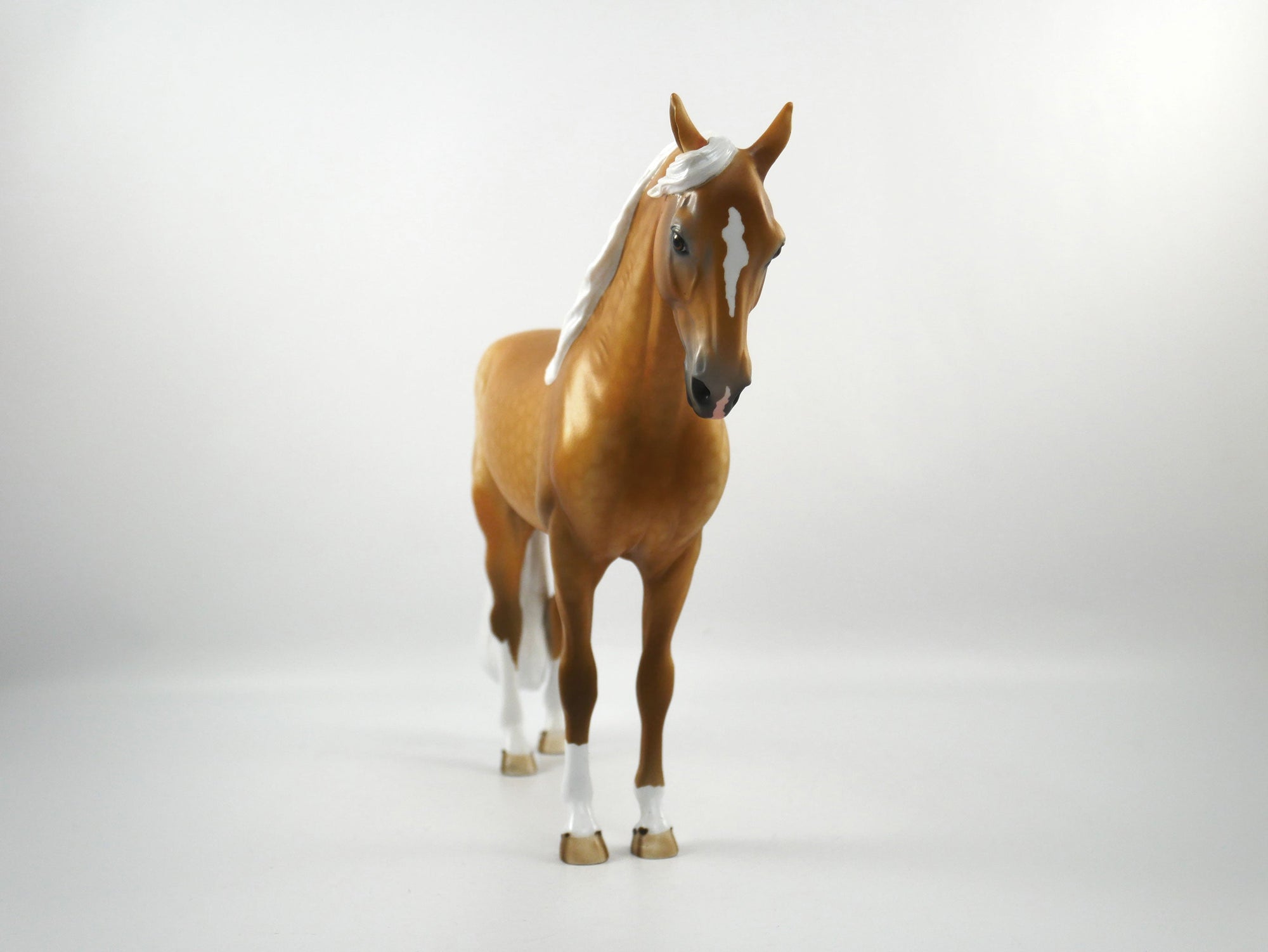 Golden Hour Dapple Palomino Andalusian  SB 21