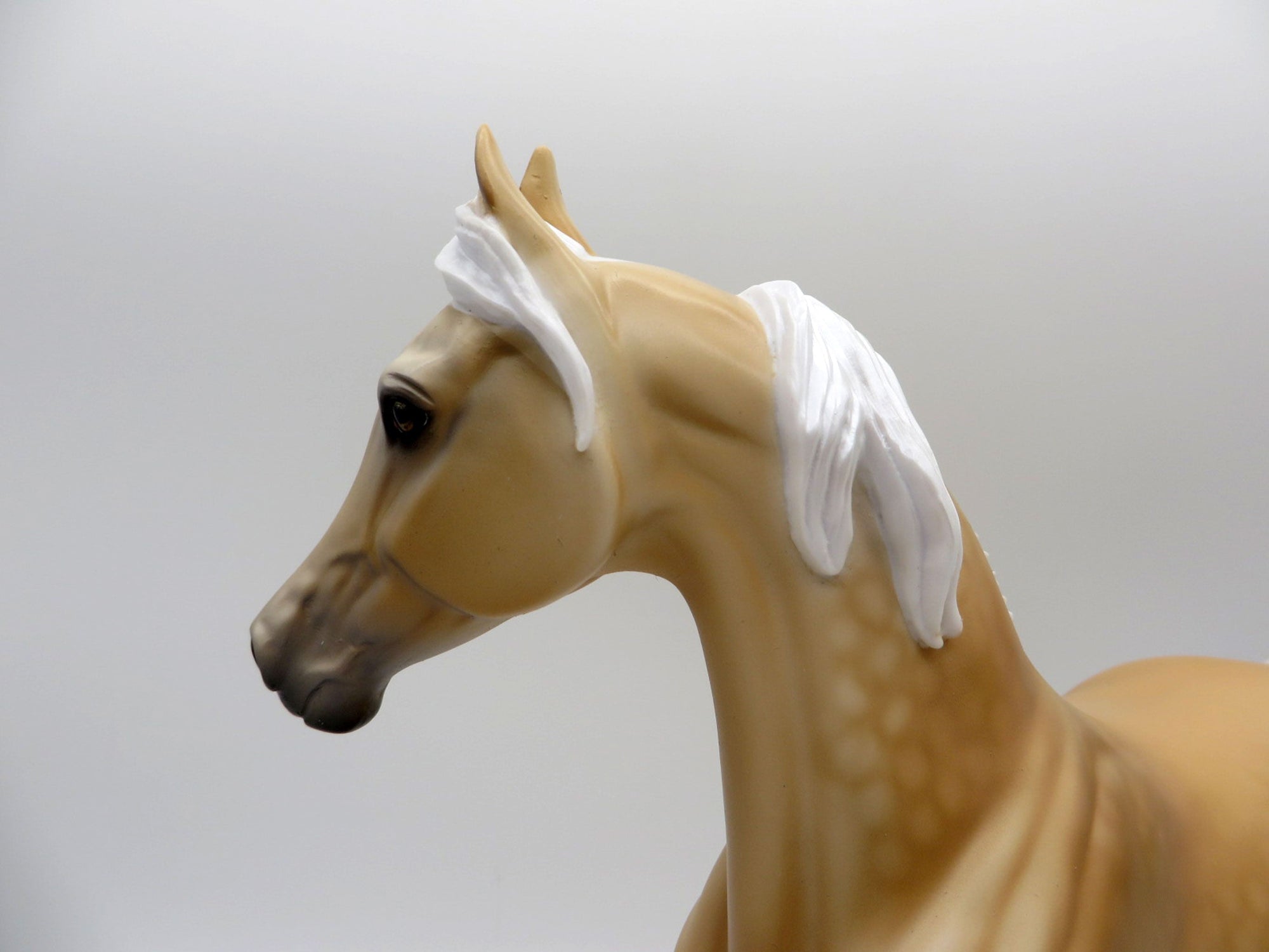 Goldie-OOAK Dapple Palomino Arabian Mare SHCF 2021