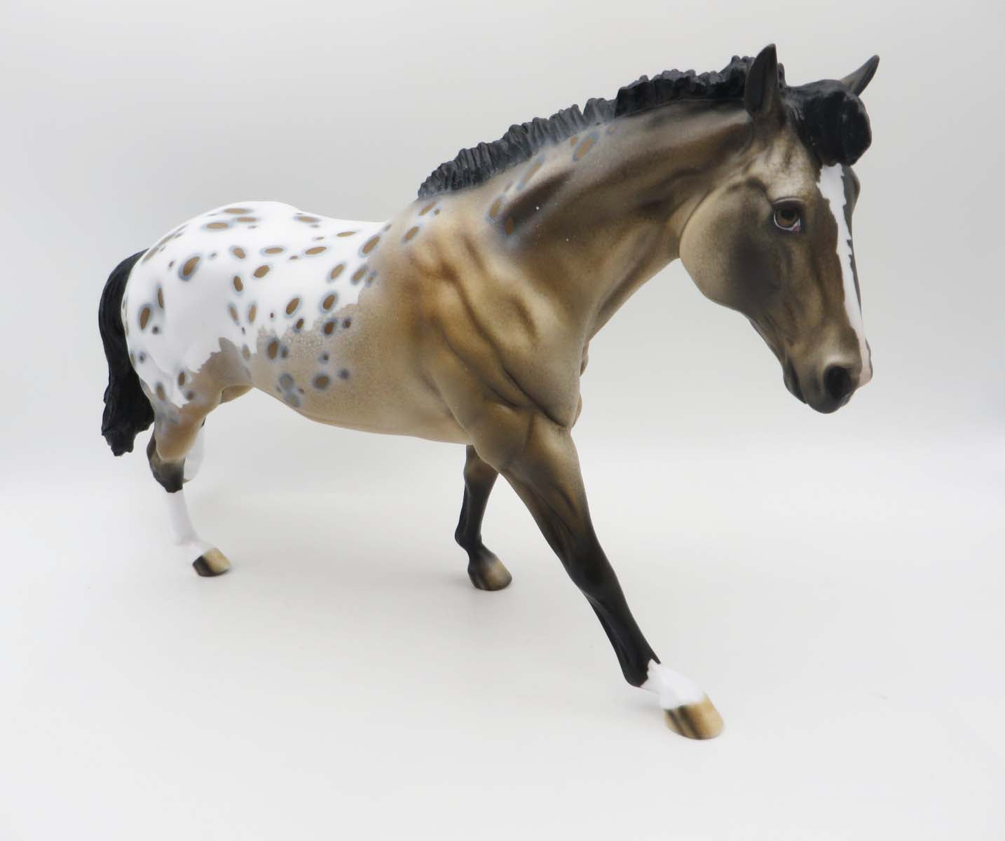 Goldrush OOAK Buckskin Appaloosa Running Stock Horse Painted BY Dawn SHCF23