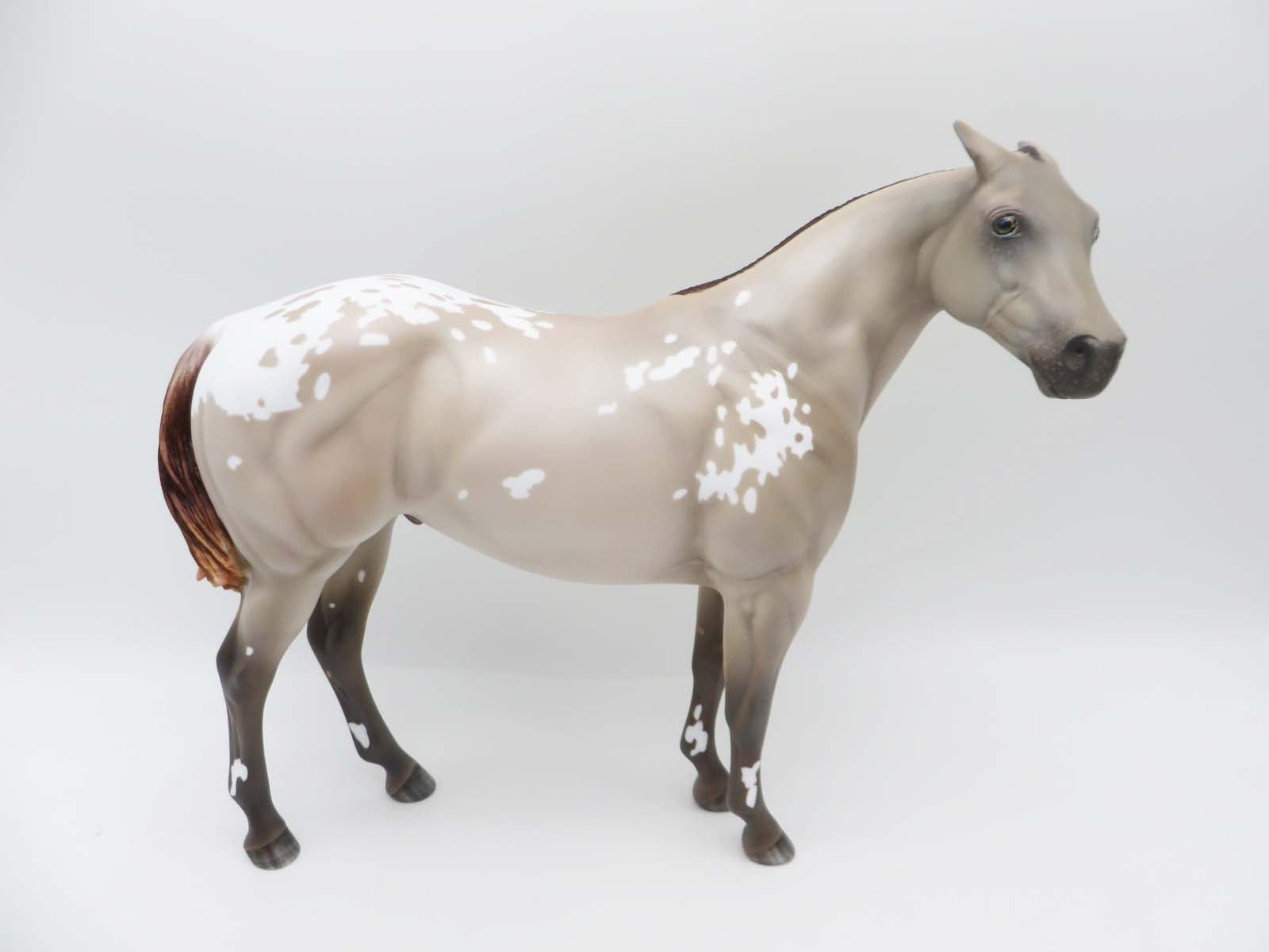 Gothic Amethyst - OOAK - Amber Champagne Appaloosa ISH By Myla Pearce - SHCF23 Best Offer