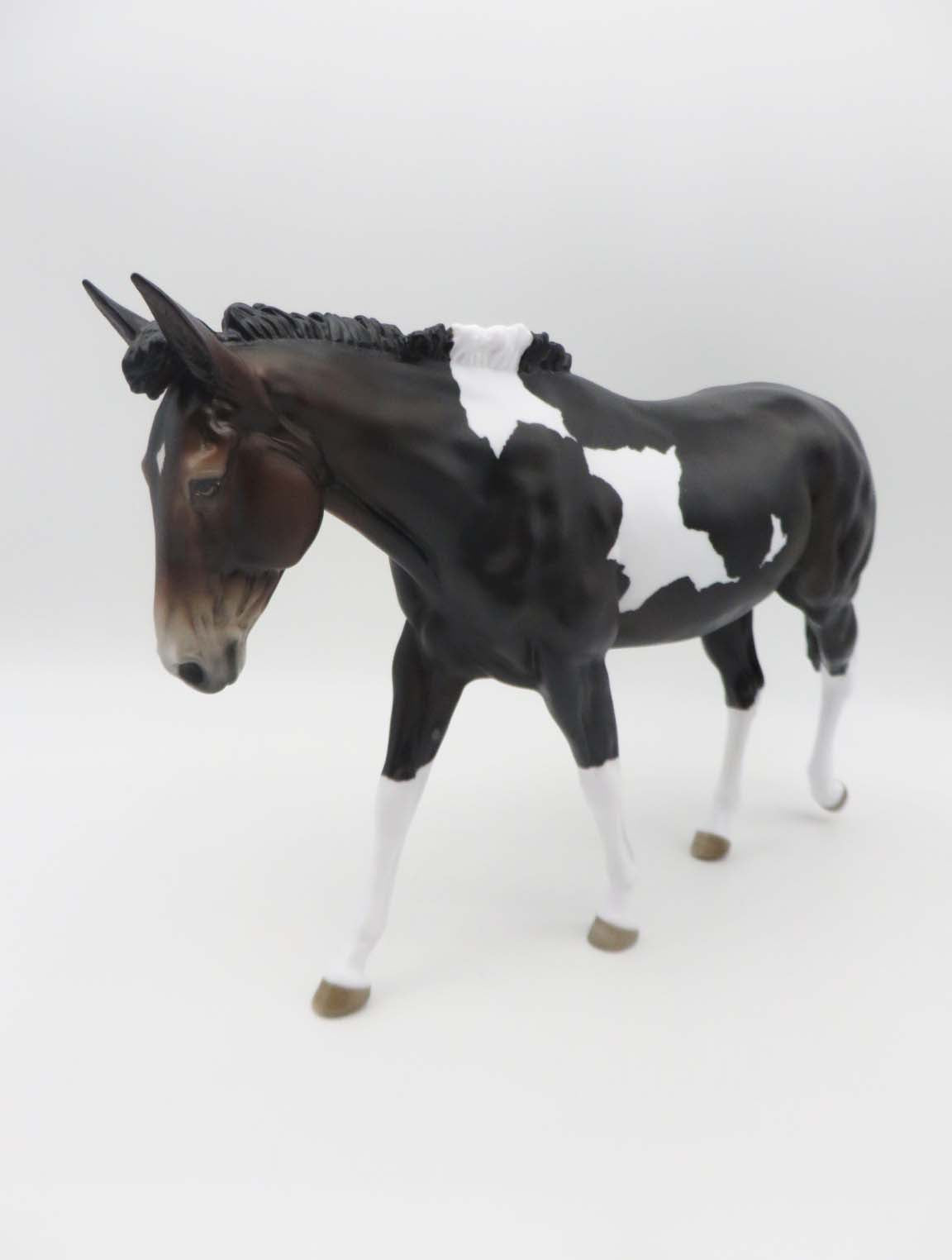Grace  - OOAK - Bay Tobiano Mule By Jess Hamill - SHCF23