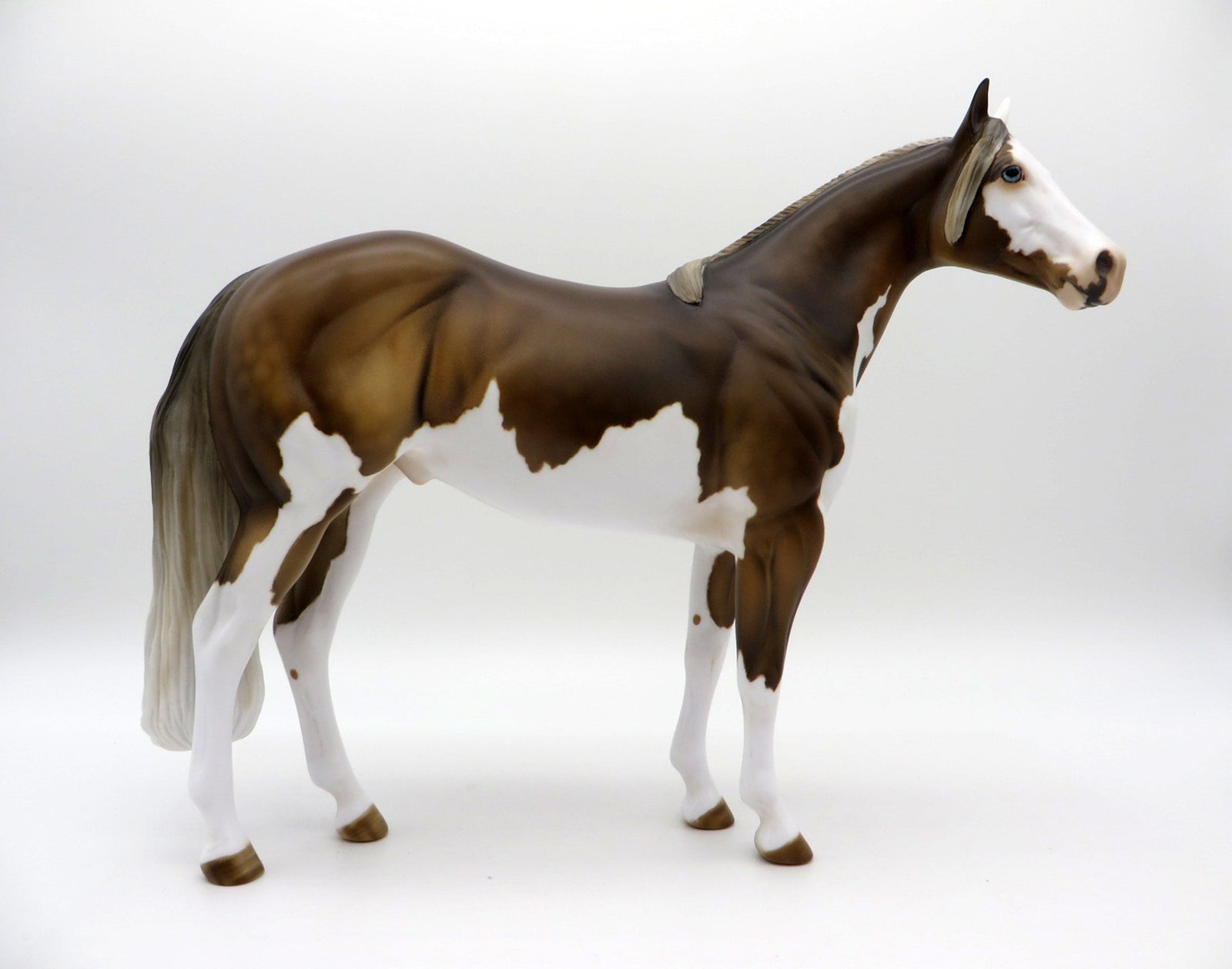 Grafitti-OOAK Chocolate Palomino Splash ISH  Equilocity 2021 Painted by Julie Keim