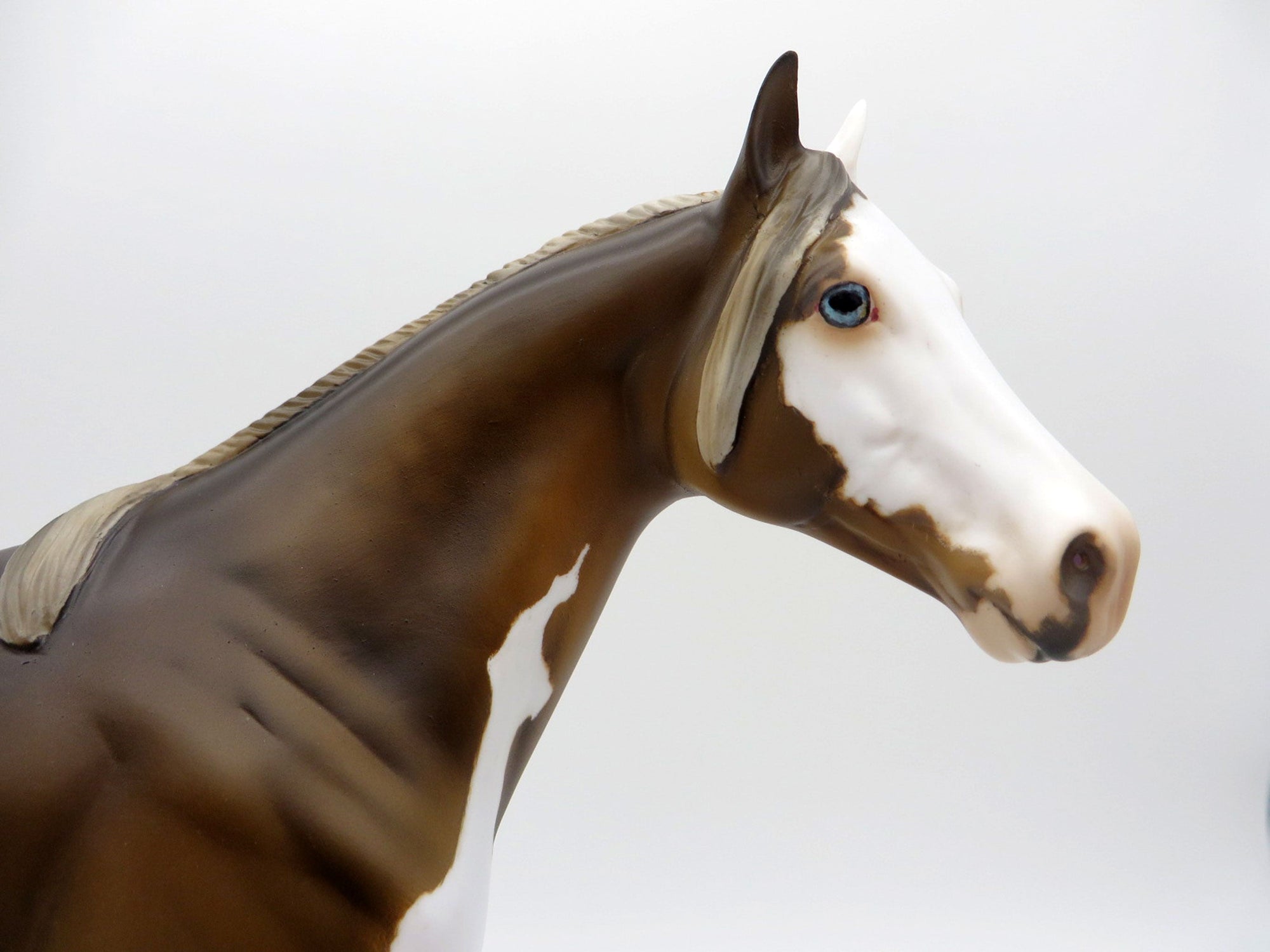 Grafitti-OOAK Chocolate Palomino Splash ISH  Equilocity 2021 Painted by Julie Keim