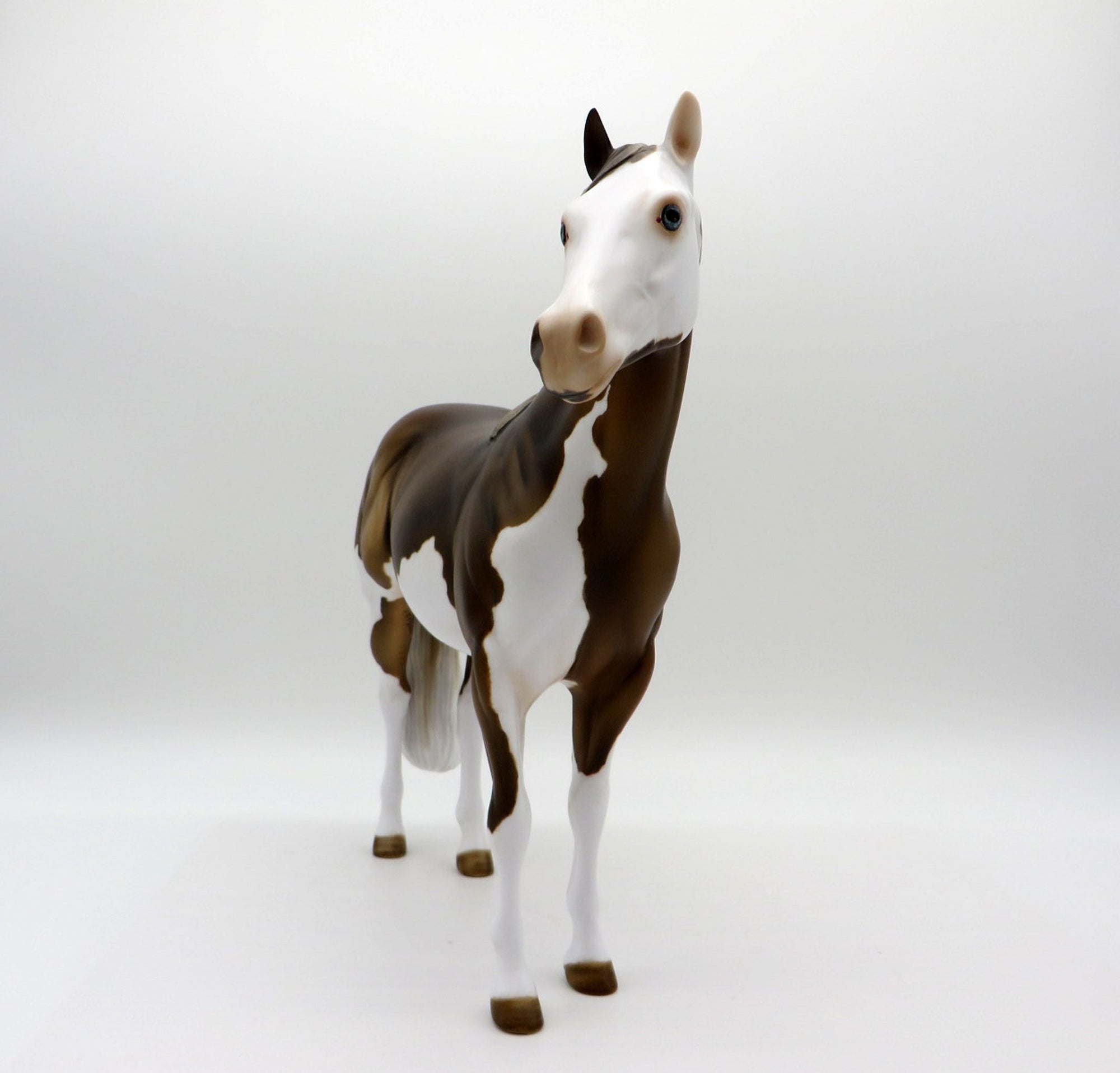 Grafitti-OOAK Chocolate Palomino Splash ISH  Equilocity 2021 Painted by Julie Keim