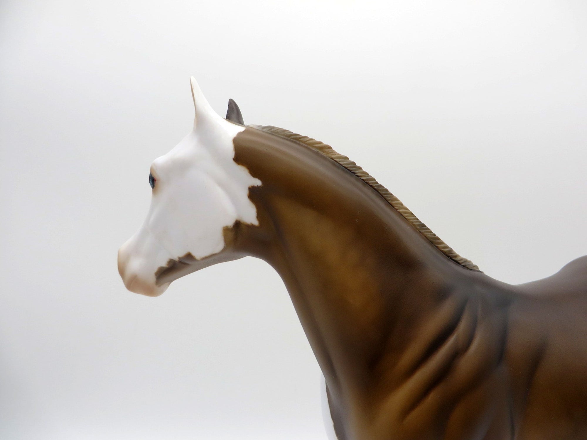 Grafitti-OOAK Chocolate Palomino Splash ISH  Equilocity 2021 Painted by Julie Keim