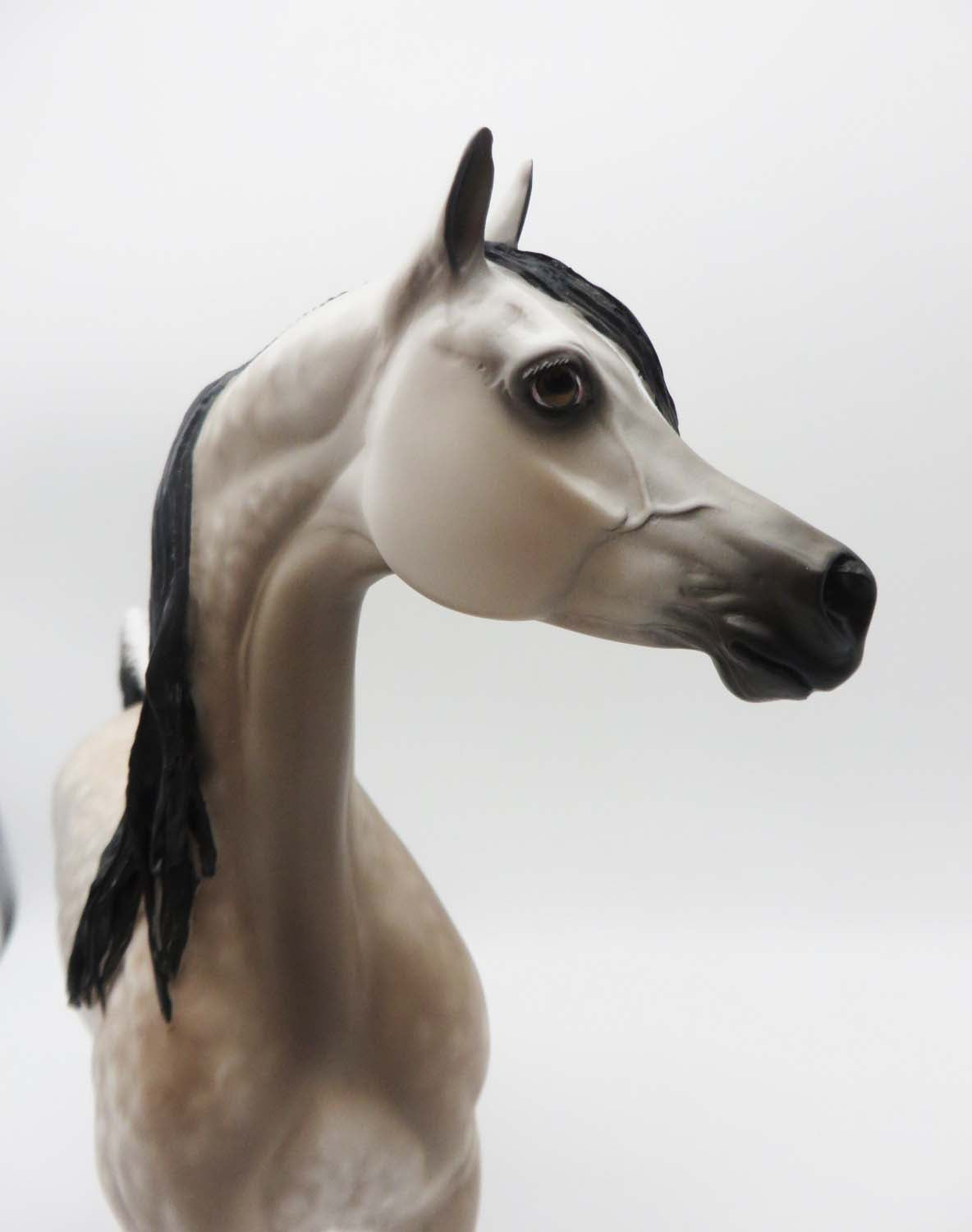 Gran Turismo - OOAK - Star Dapple Rose Grey Arabian by Sheryl Leisure - Best Offer 5/1/23