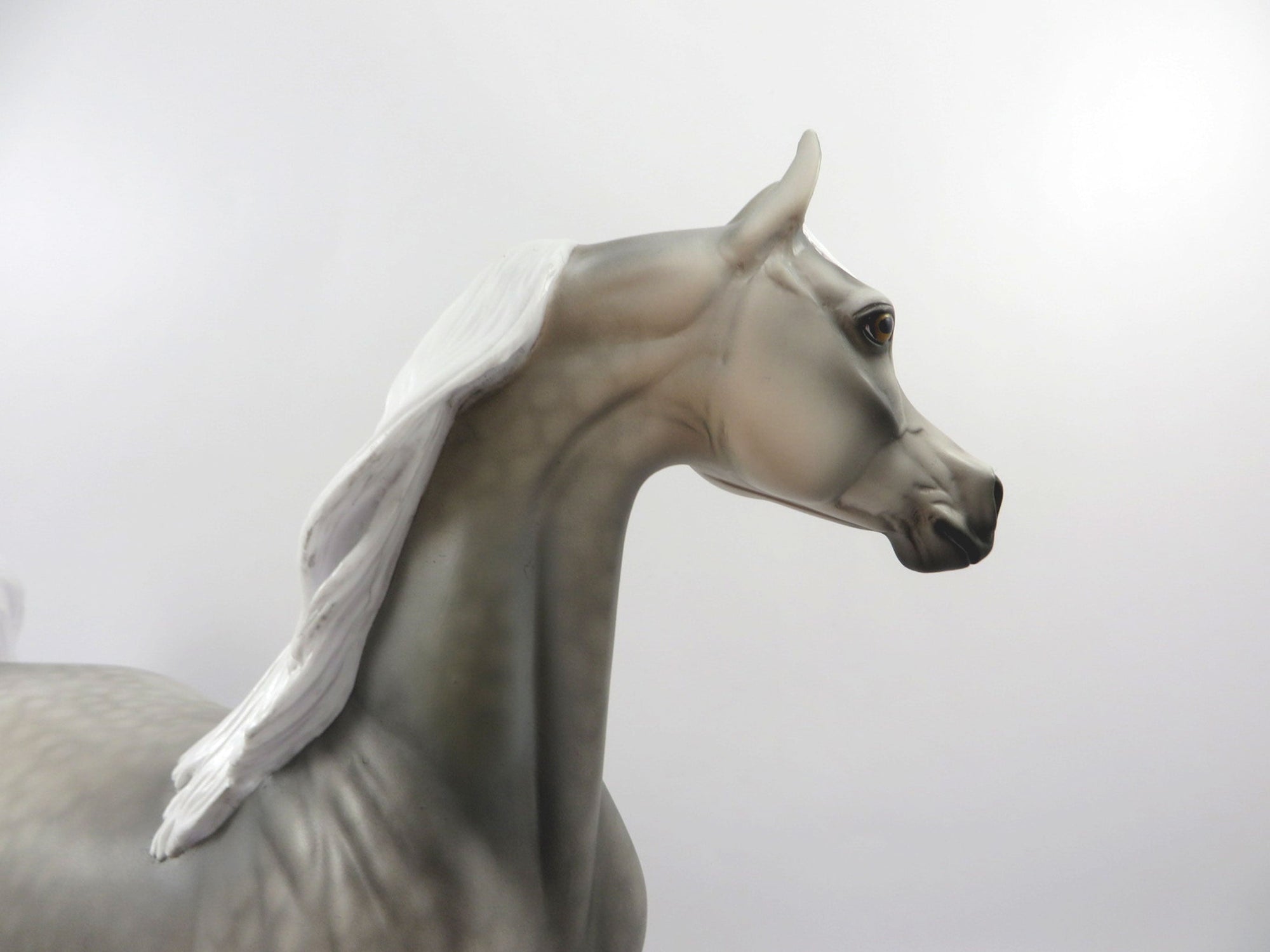 Grand Prize-OOAK Dapple Grey Arabian Bingo 3/21
