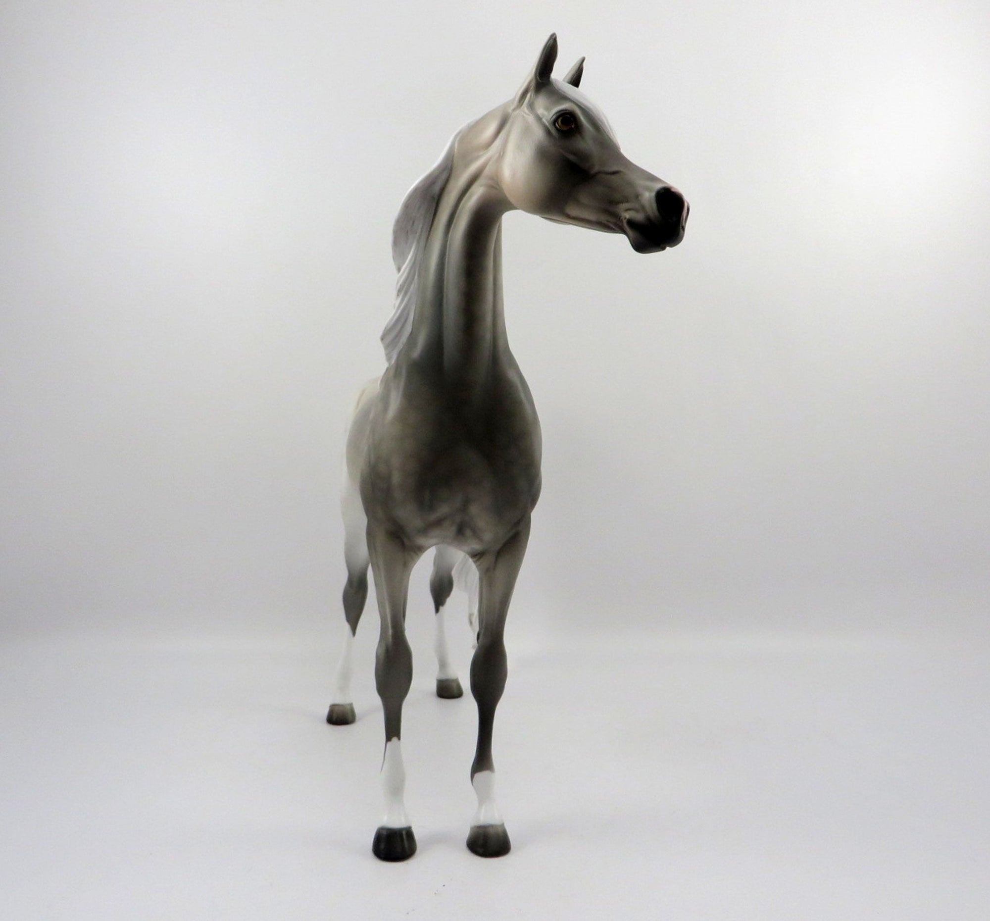 Grand Prize-OOAK Dapple Grey Arabian Bingo 3/21