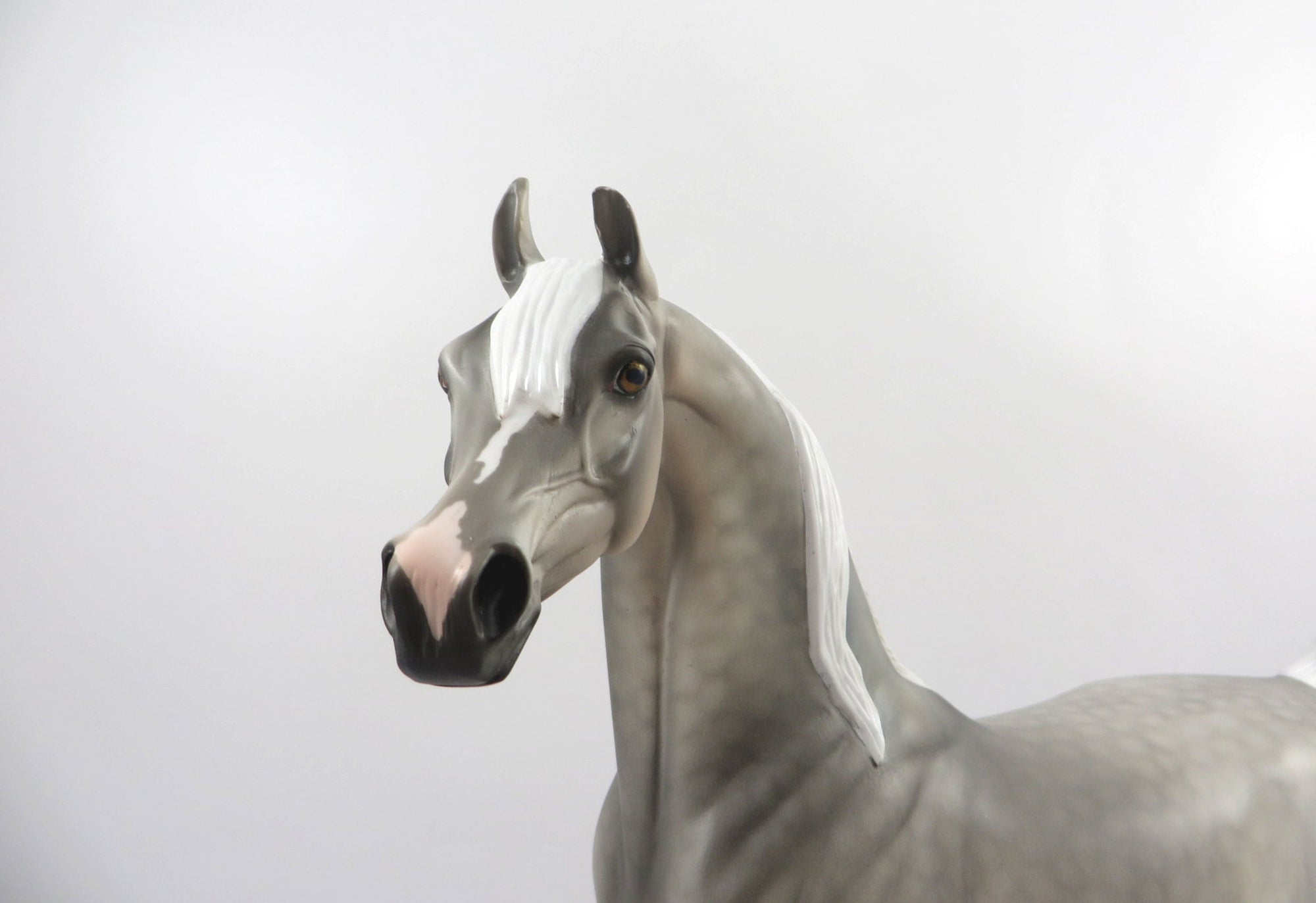 Grand Prize-OOAK Dapple Grey Arabian Bingo 3/21