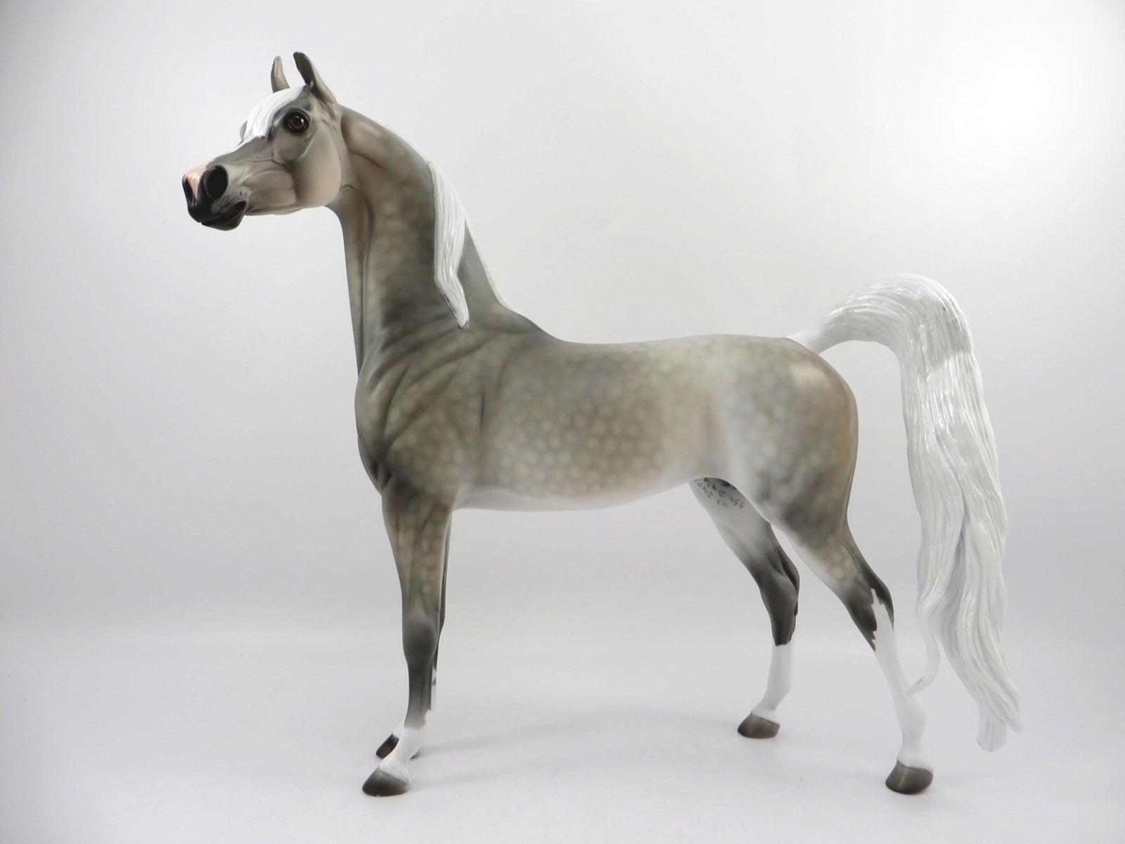 Grand Prize-OOAK Dapple Grey Arabian Bingo 3/21