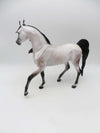 Grass in the Streets  OOAK Rose Grey Arabian Mare By Ellen Robbins SHCF23