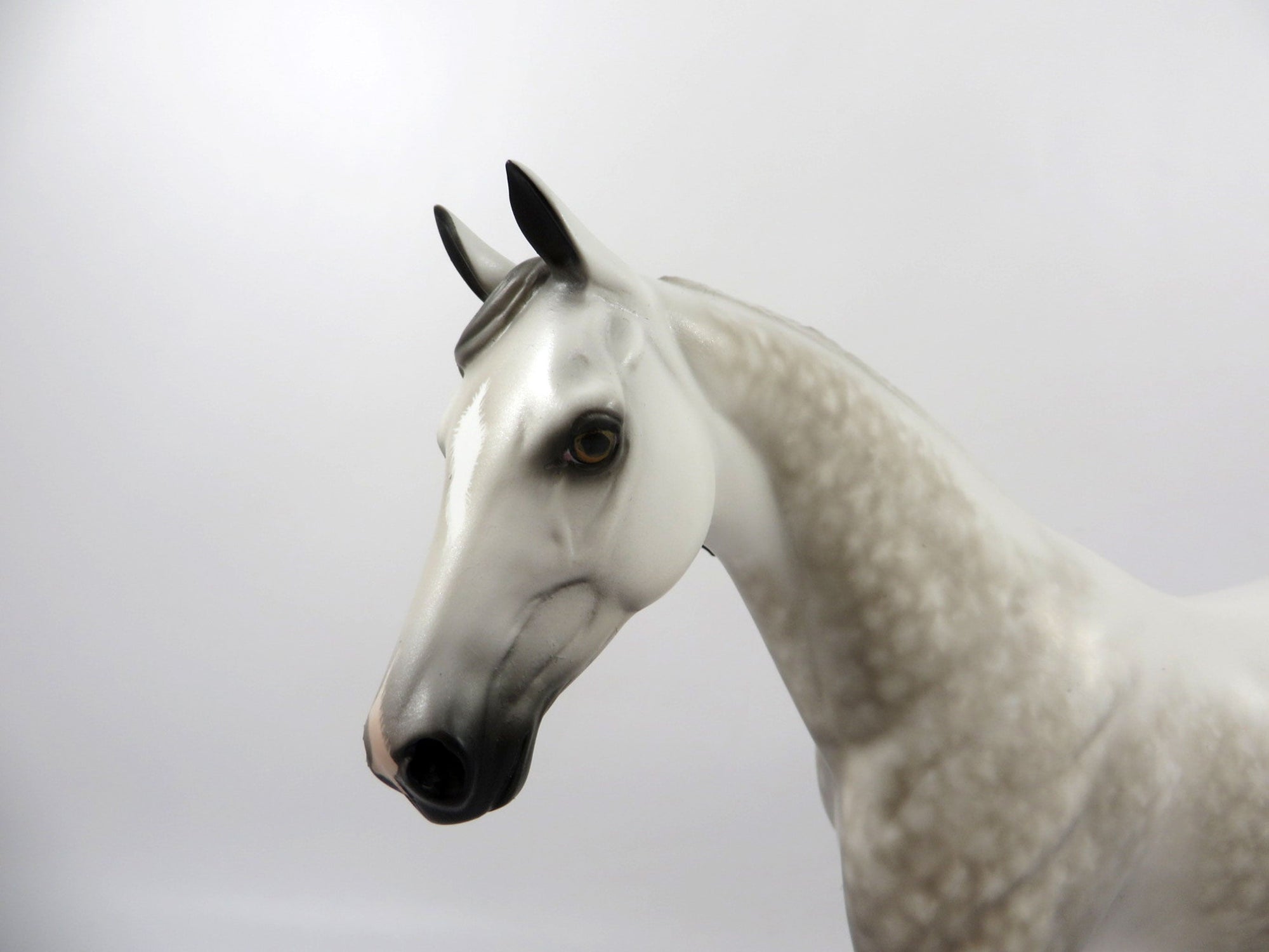 Grey Malkin-OOAK Dapple Grey Pony Painted by Sheryl Leisure 2/18/21