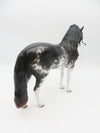 Greatness Of Spirit - OOAK - Black Sabino Andalusian by Sheryl Leisure - Best Offers 12/05/22