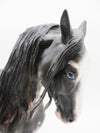 Greatness Of Spirit - OOAK - Black Sabino Andalusian by Sheryl Leisure - Best Offers 12/05/22