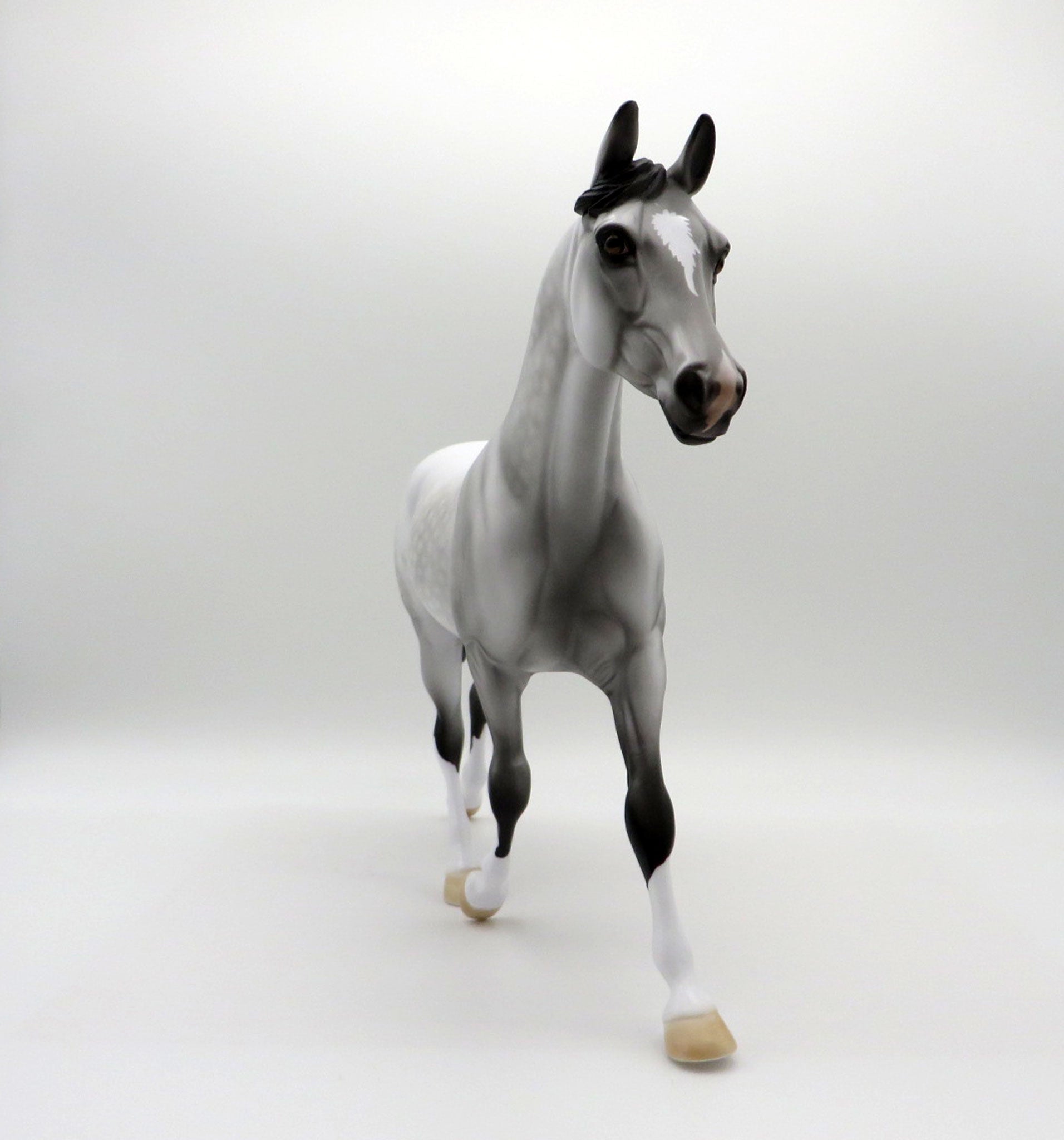 Grey Skies-OOAK Dapple Grey Palouse   SHCF 2021