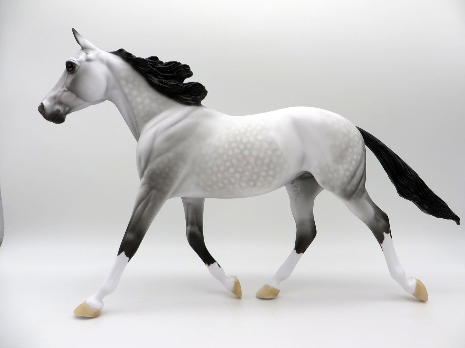 Grey Skies-OOAK Dapple Grey Palouse   SHCF 2021