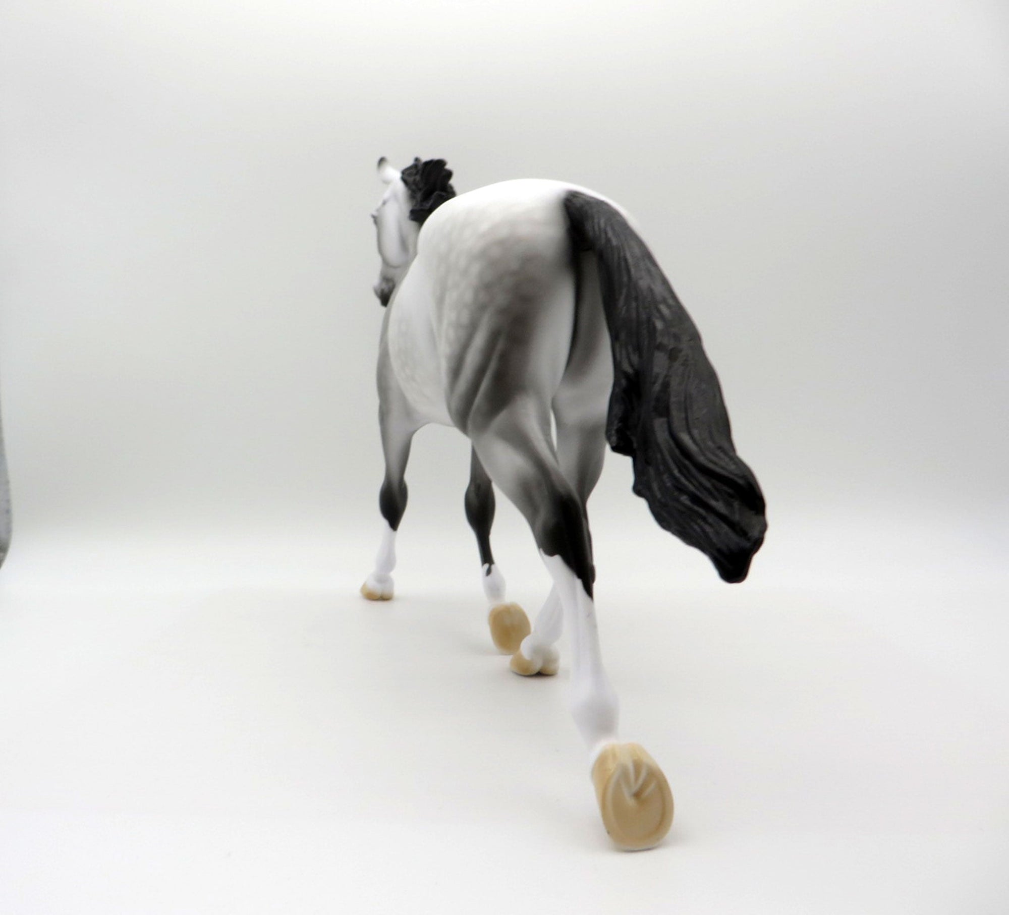 Grey Skies-OOAK Dapple Grey Palouse   SHCF 2021