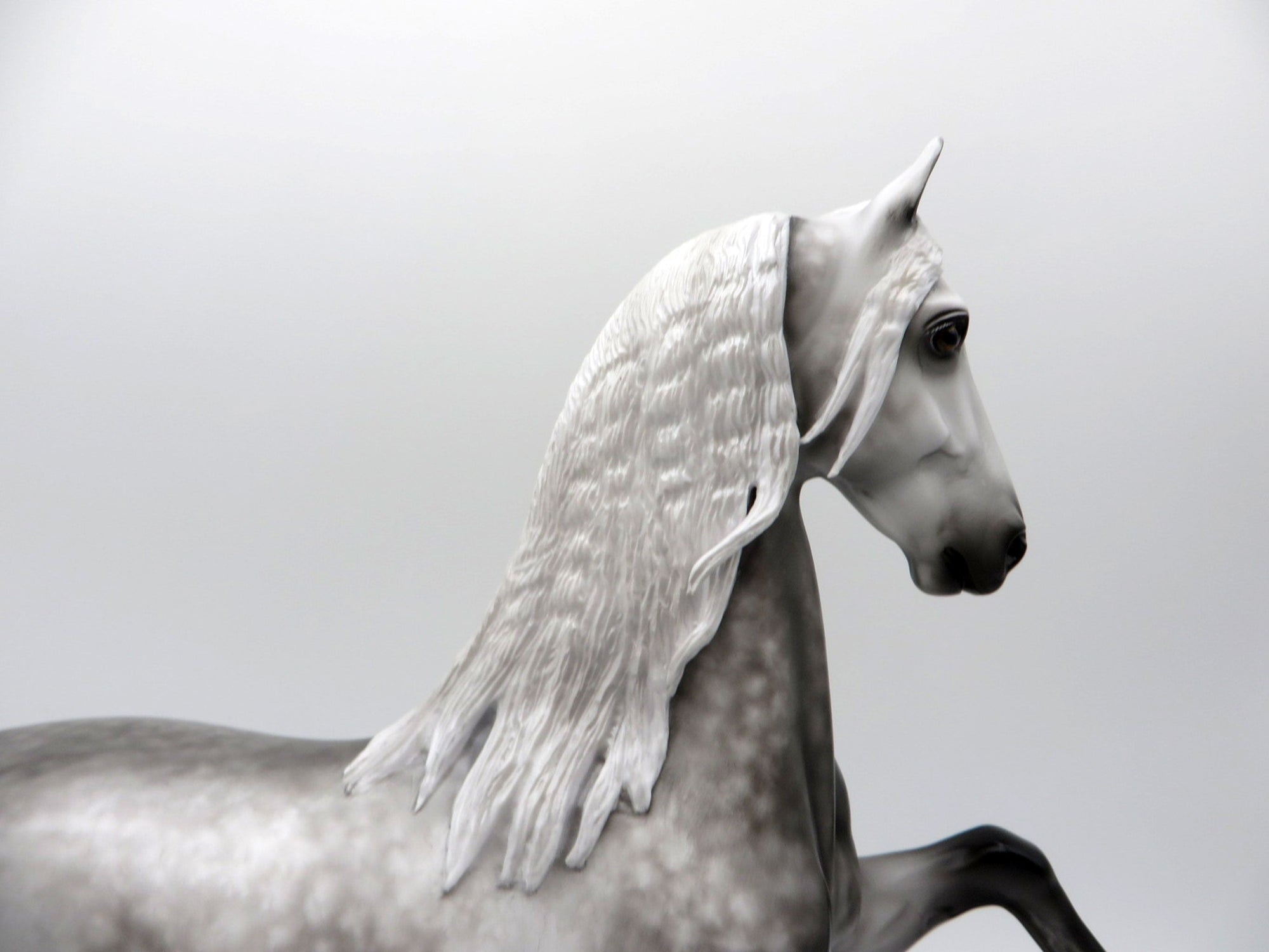 Griffith-OOAK Star Dapple Grey Saddlebred Painted by Sheryl Leisure 1/3/22