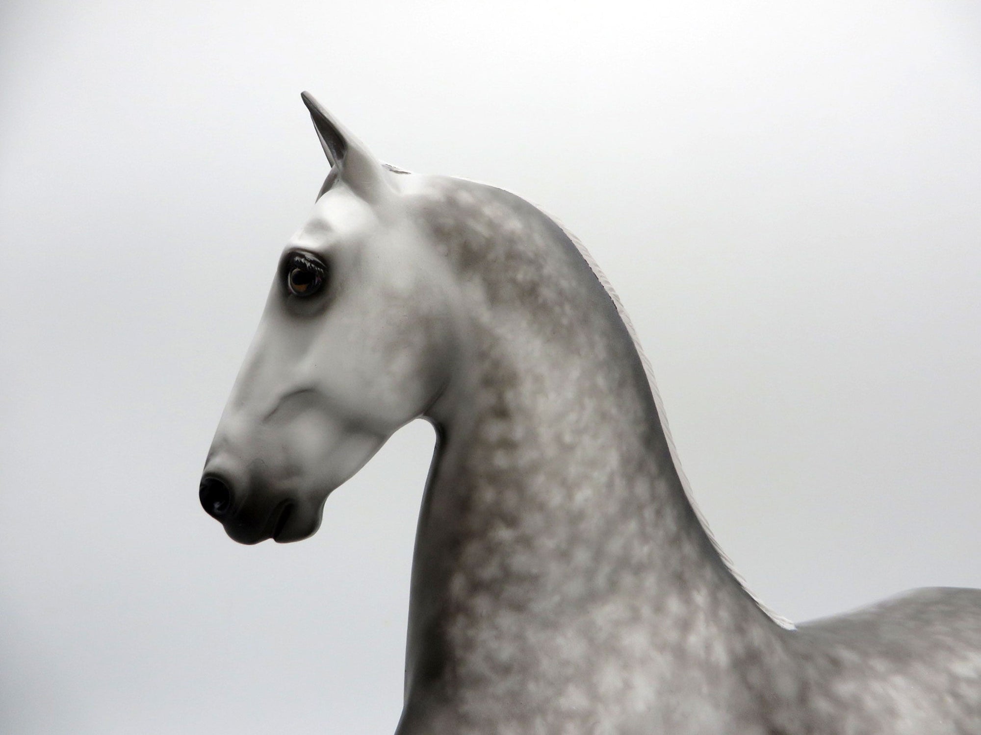Griffith-OOAK Star Dapple Grey Saddlebred Painted by Sheryl Leisure 1/3/22