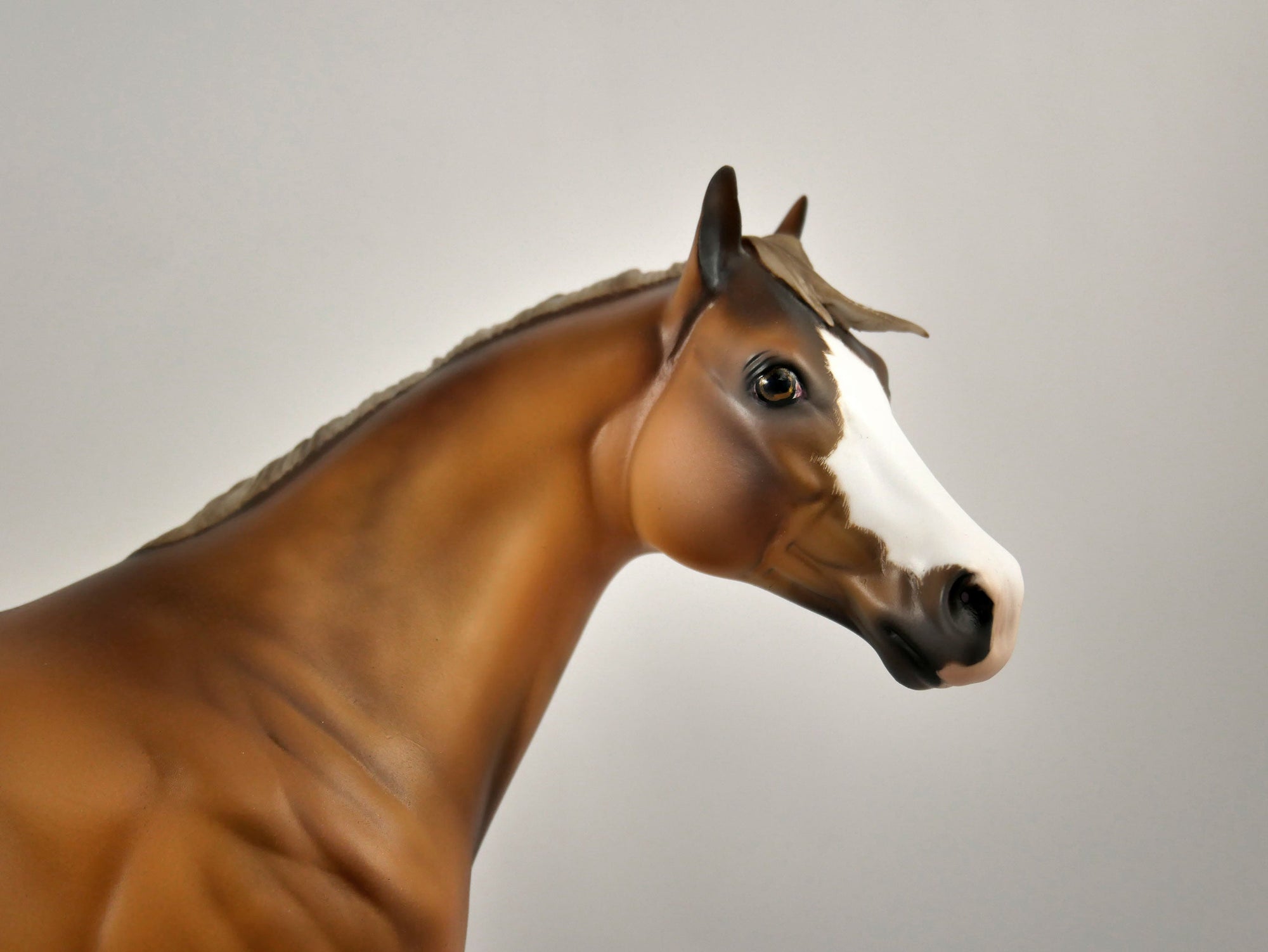 Grins-OOAK Dunalino ISH Painted By Julie Keim 12/30/20