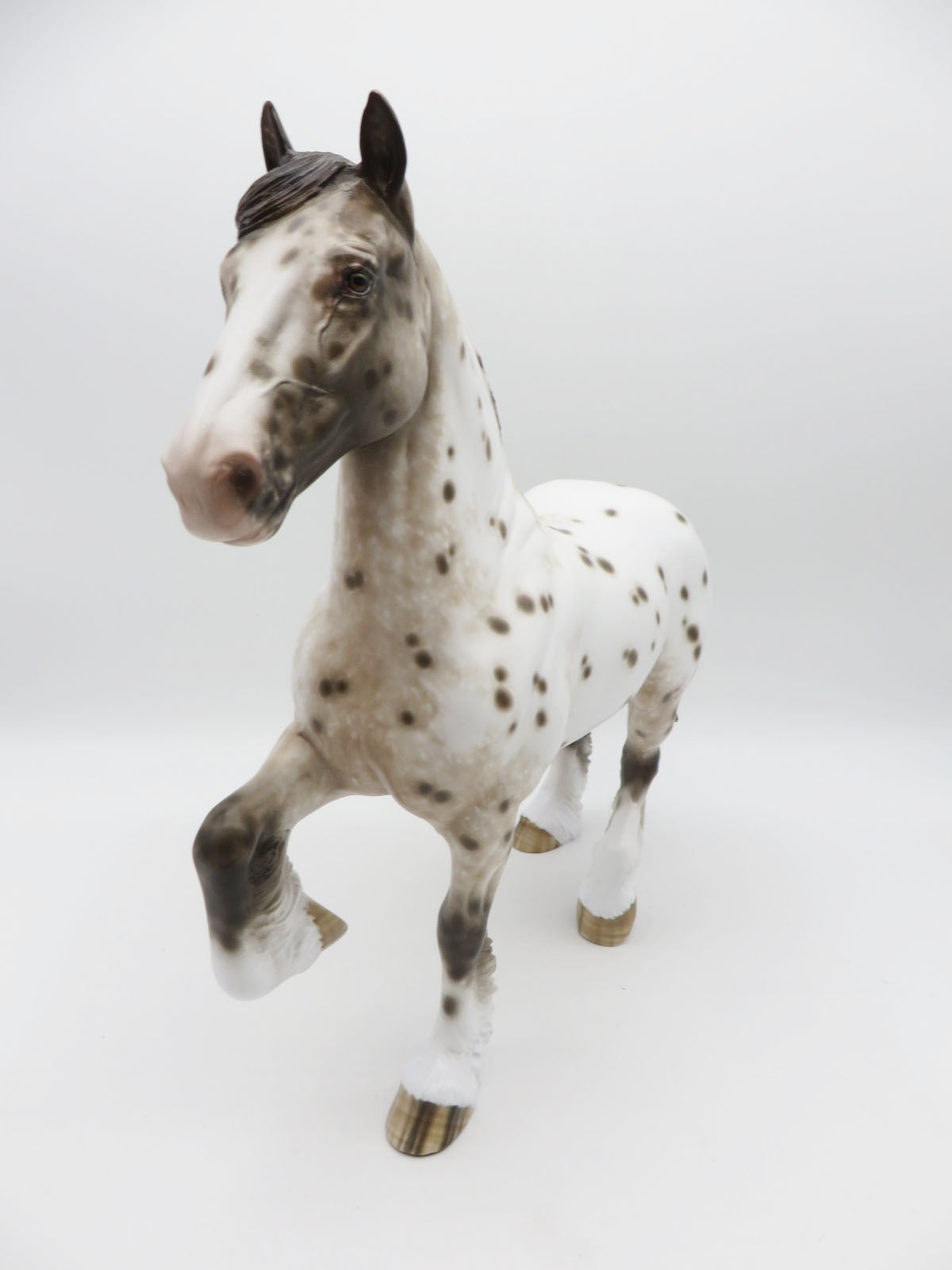 Haywire -OOAK  Loud Appaloosa Trotting Drafter Painted by Sheryl Leisure 9/19/22