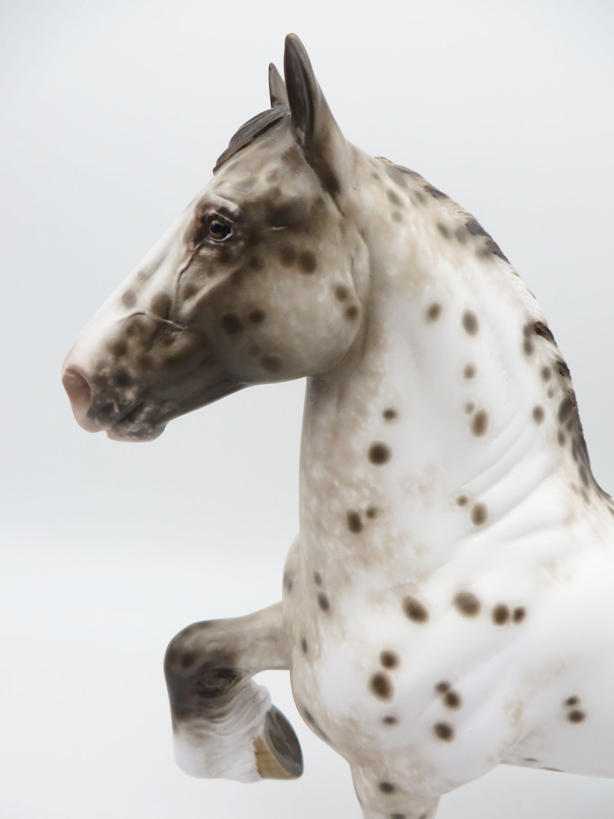Haywire -OOAK  Loud Appaloosa Trotting Drafter Painted by Sheryl Leisure 9/19/22