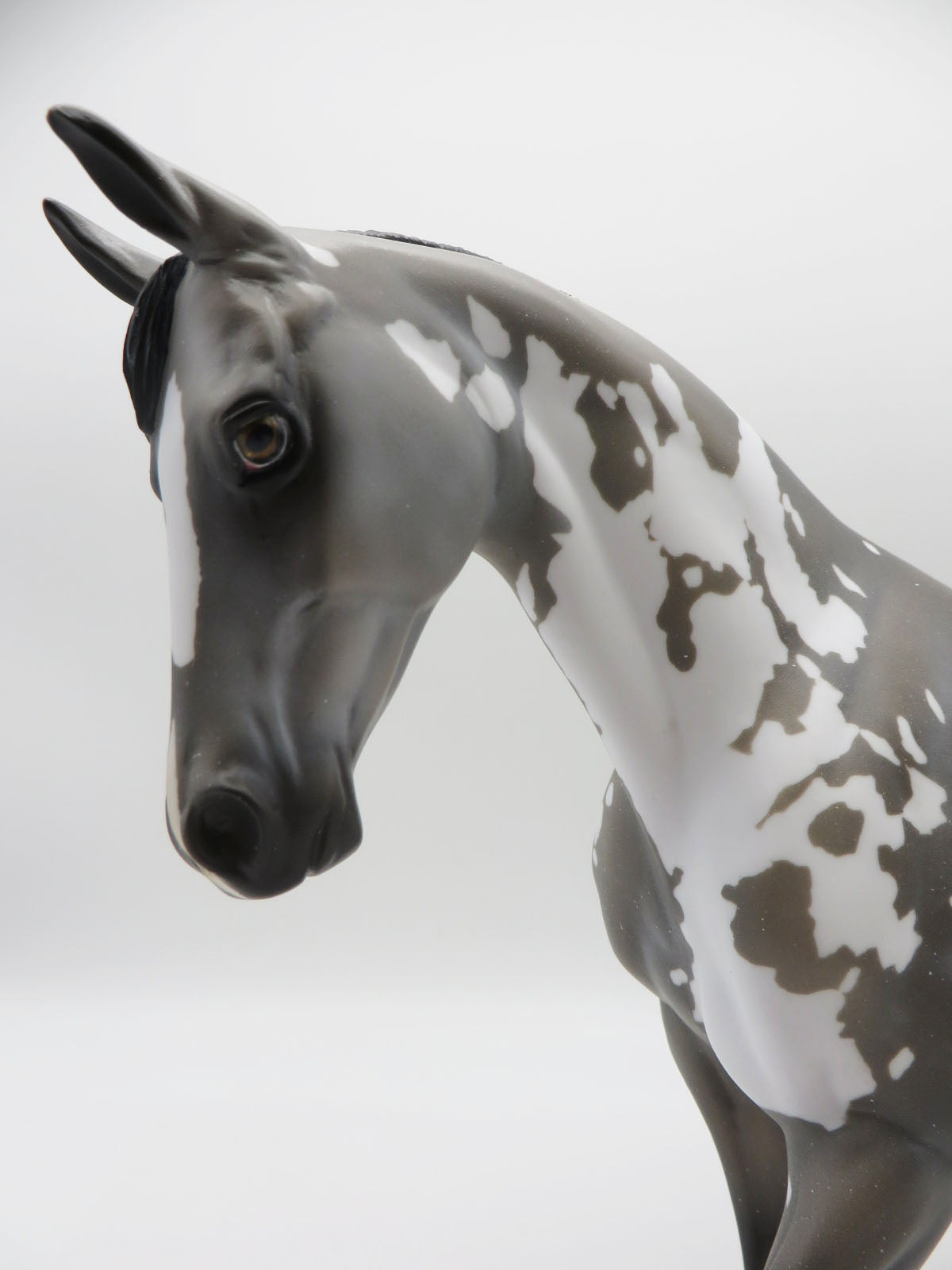 Hi-Fashion OOAK Bay going grey Thoroughbred By Myla Pearce 9/26/22