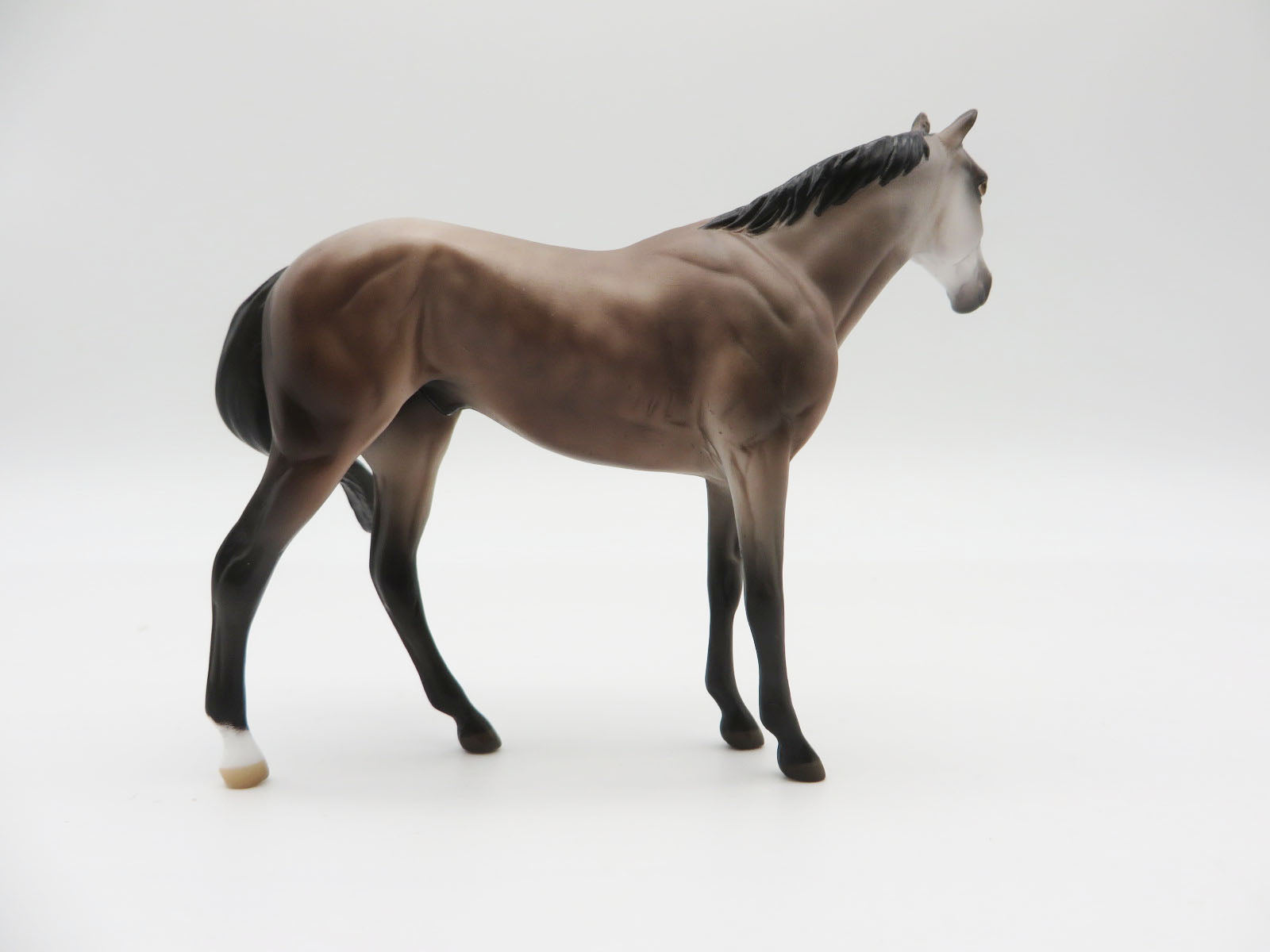 HONOUR - OOAK ROSE GREY THOROUGHBRED CHIP  BY JESS HAMILL LHS 22
