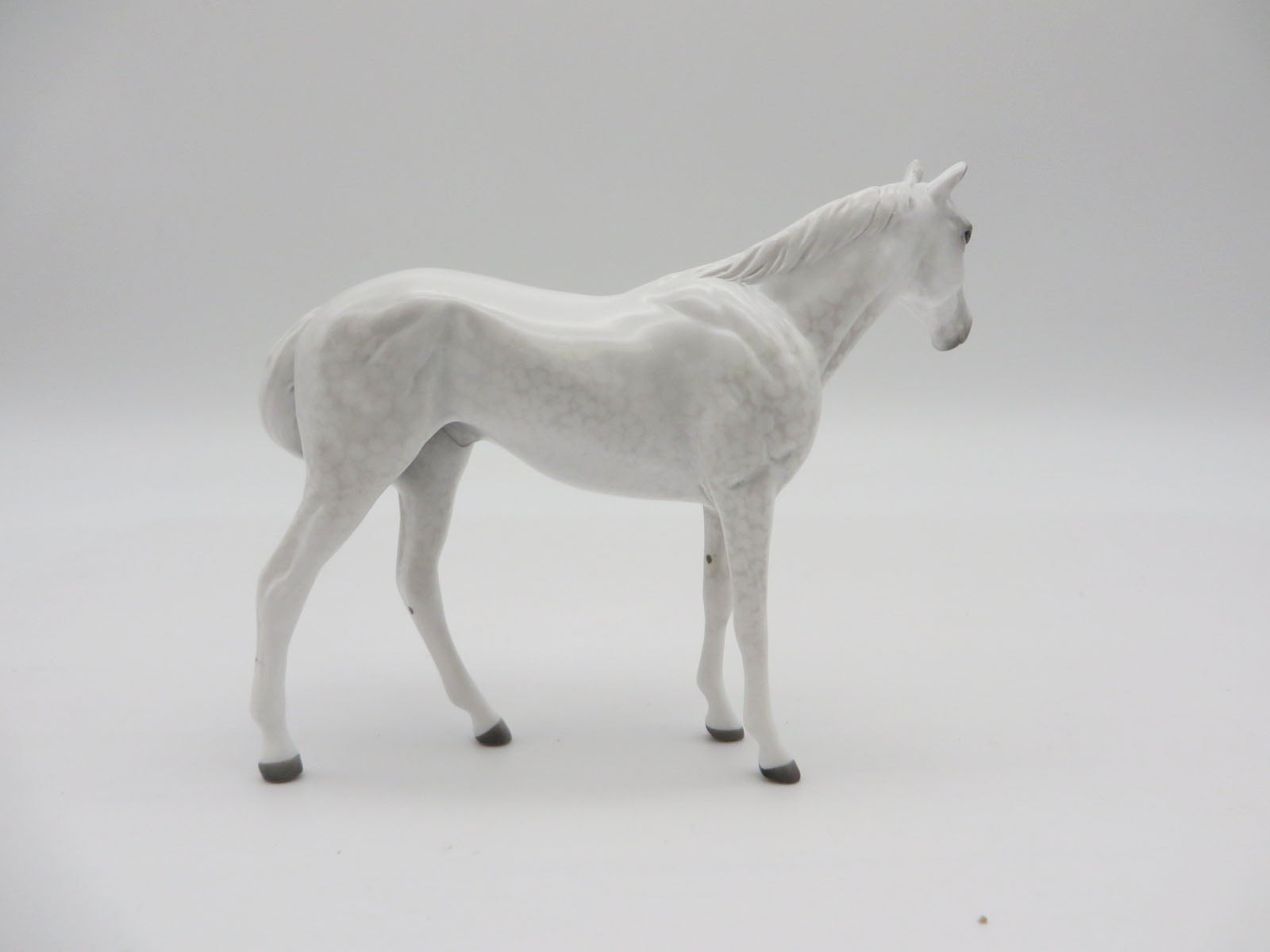 HORSE - LE 10 Dapple Grey Thoroughbred Chip by Jess Hamill LHS 22