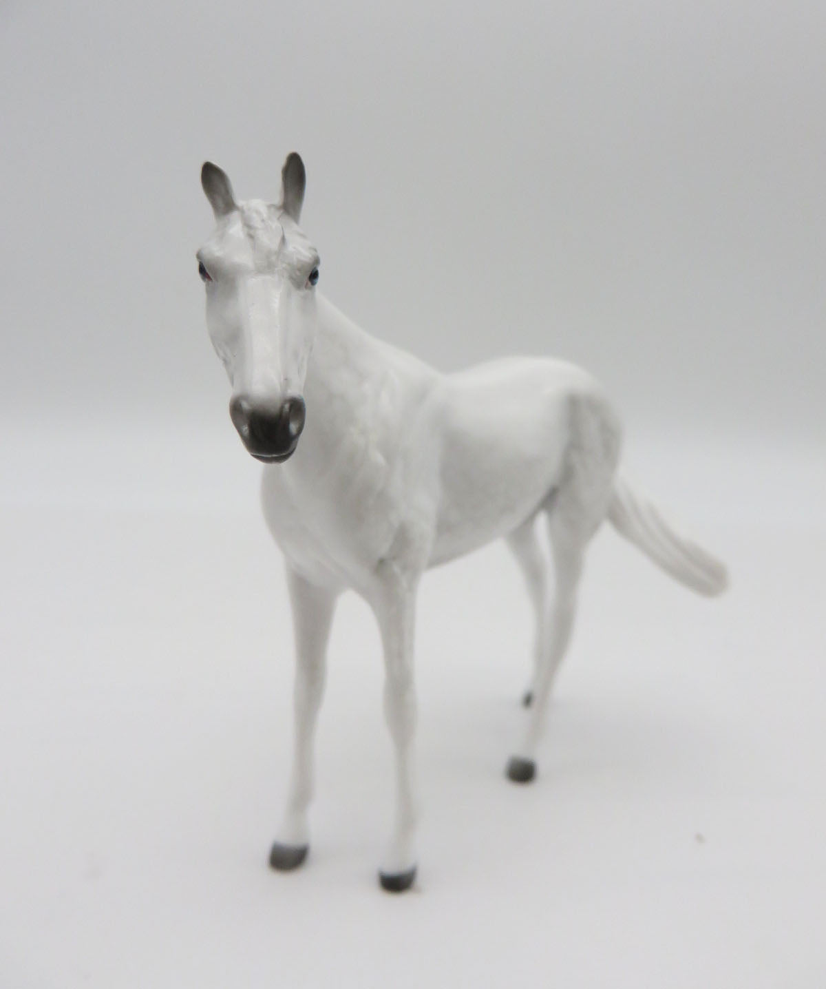 HORSE - LE 10 Dapple Grey Thoroughbred Chip by Jess Hamill LHS 22