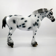 HAIL MARY-LE-15 LOUD APPALOOSA DRAFT MARE SB 21