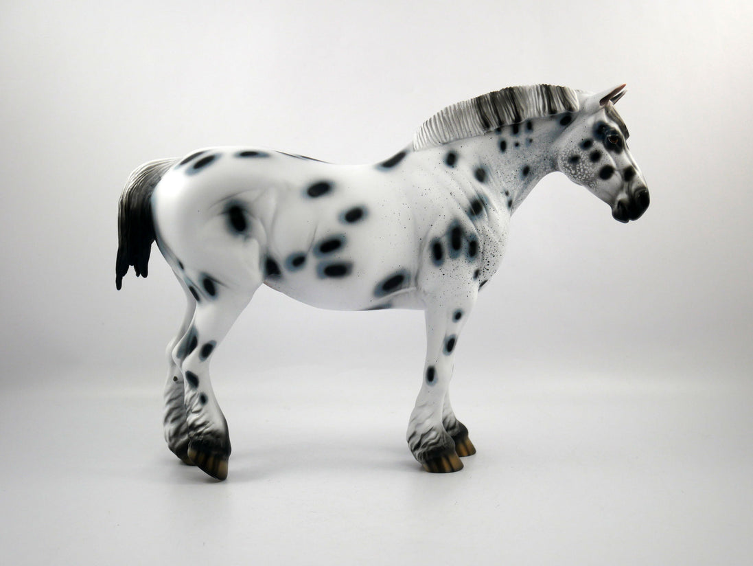 HAIL MARY-LE-15 LOUD APPALOOSA DRAFT MARE SB 21